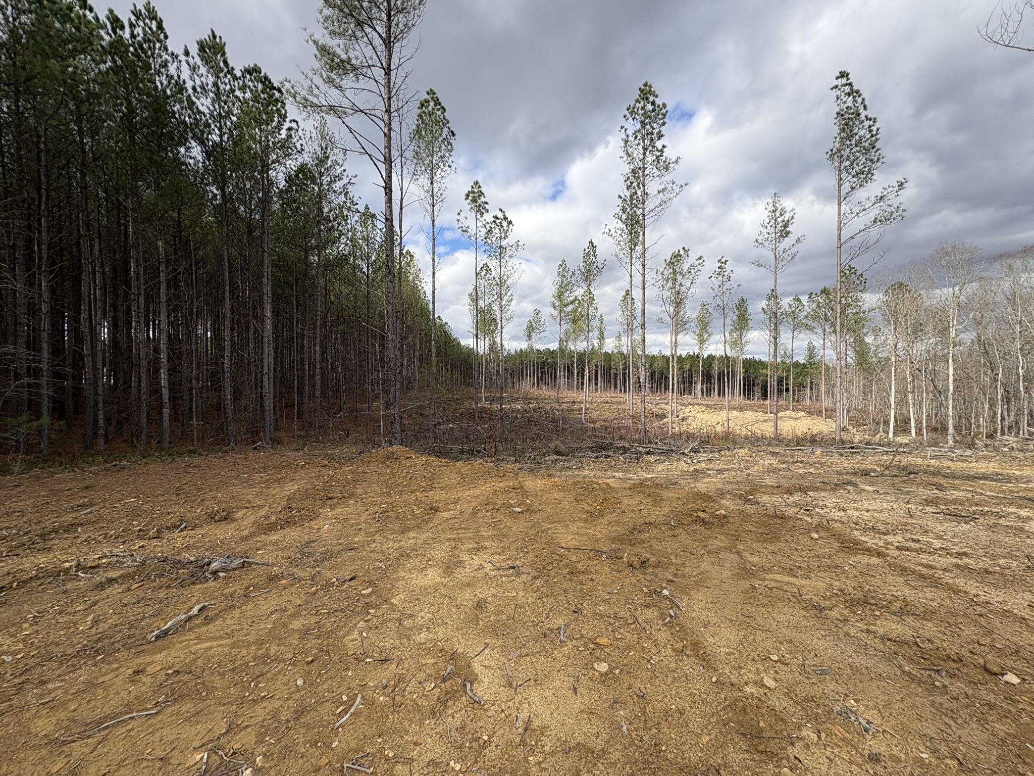 1765 Indian Springs Rd Property Photo 8