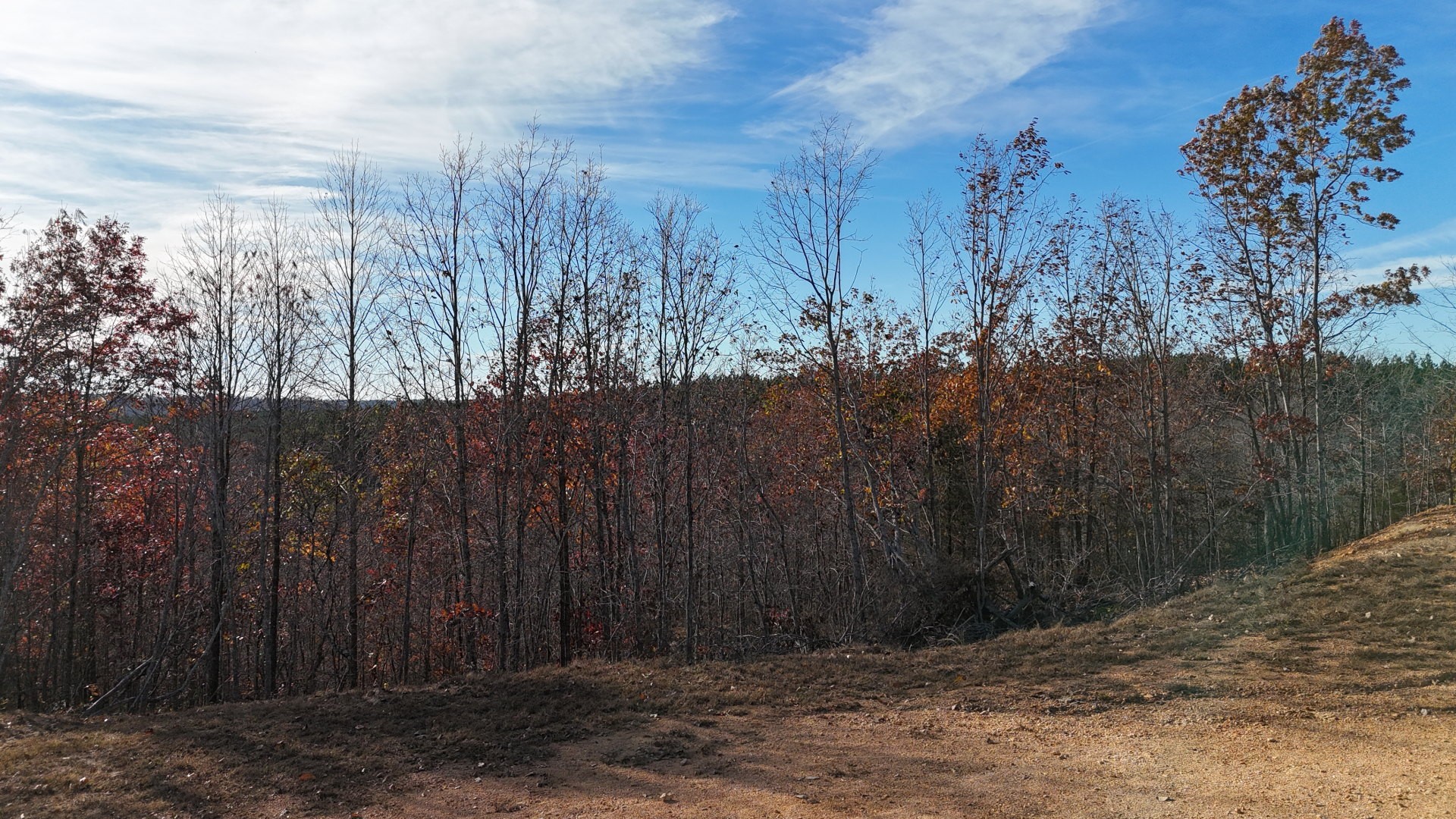 452 Streamside Dr Property Photo 2