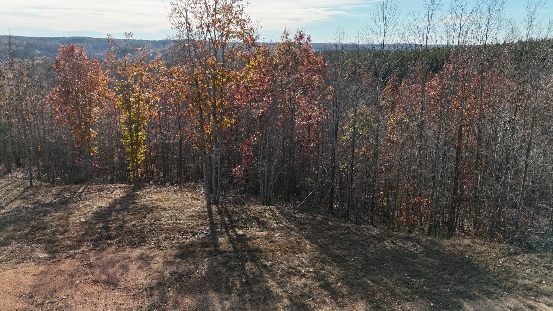 452 Streamside Dr Property Photo 6