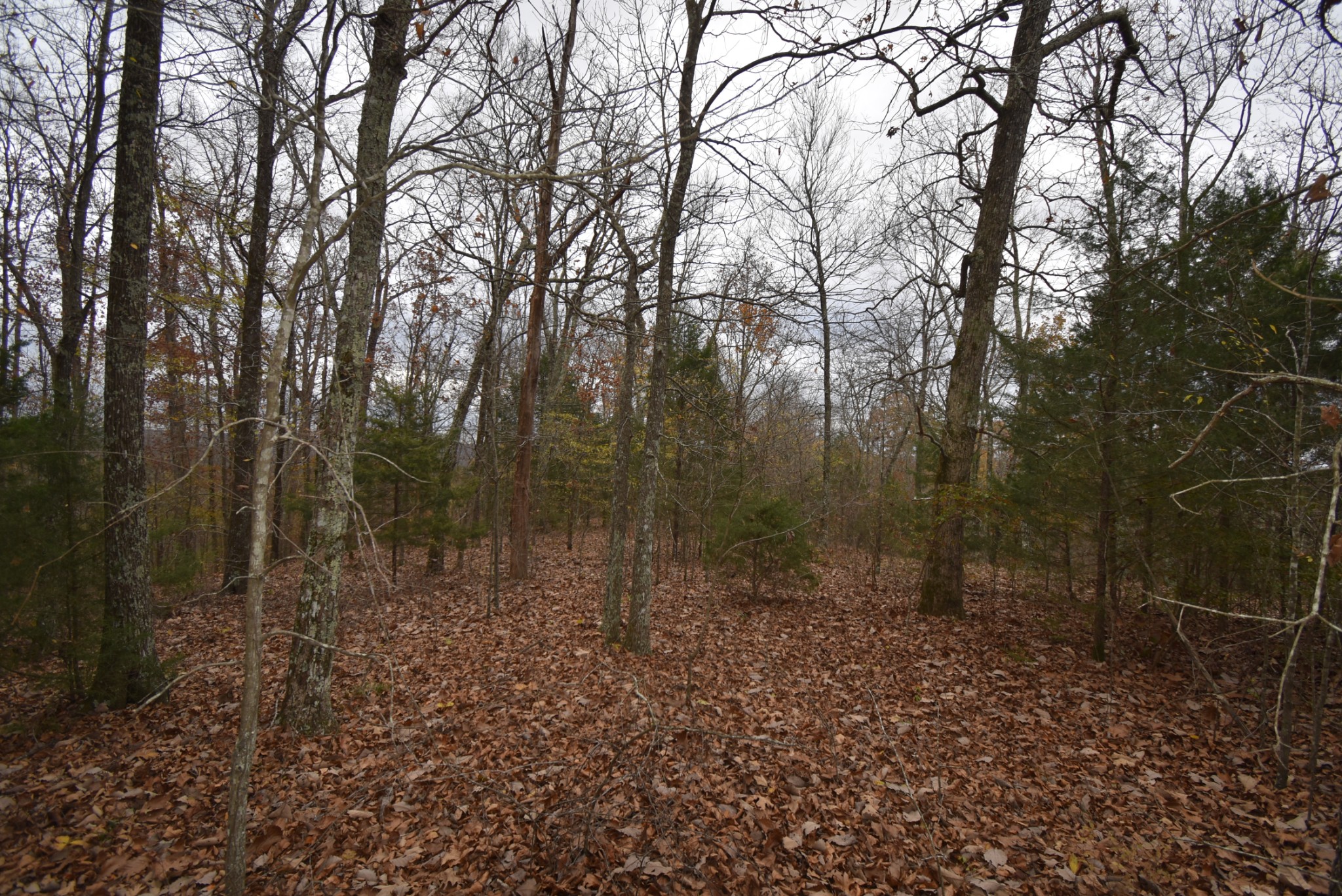0 Depriest Bend Rd Property Photo 2