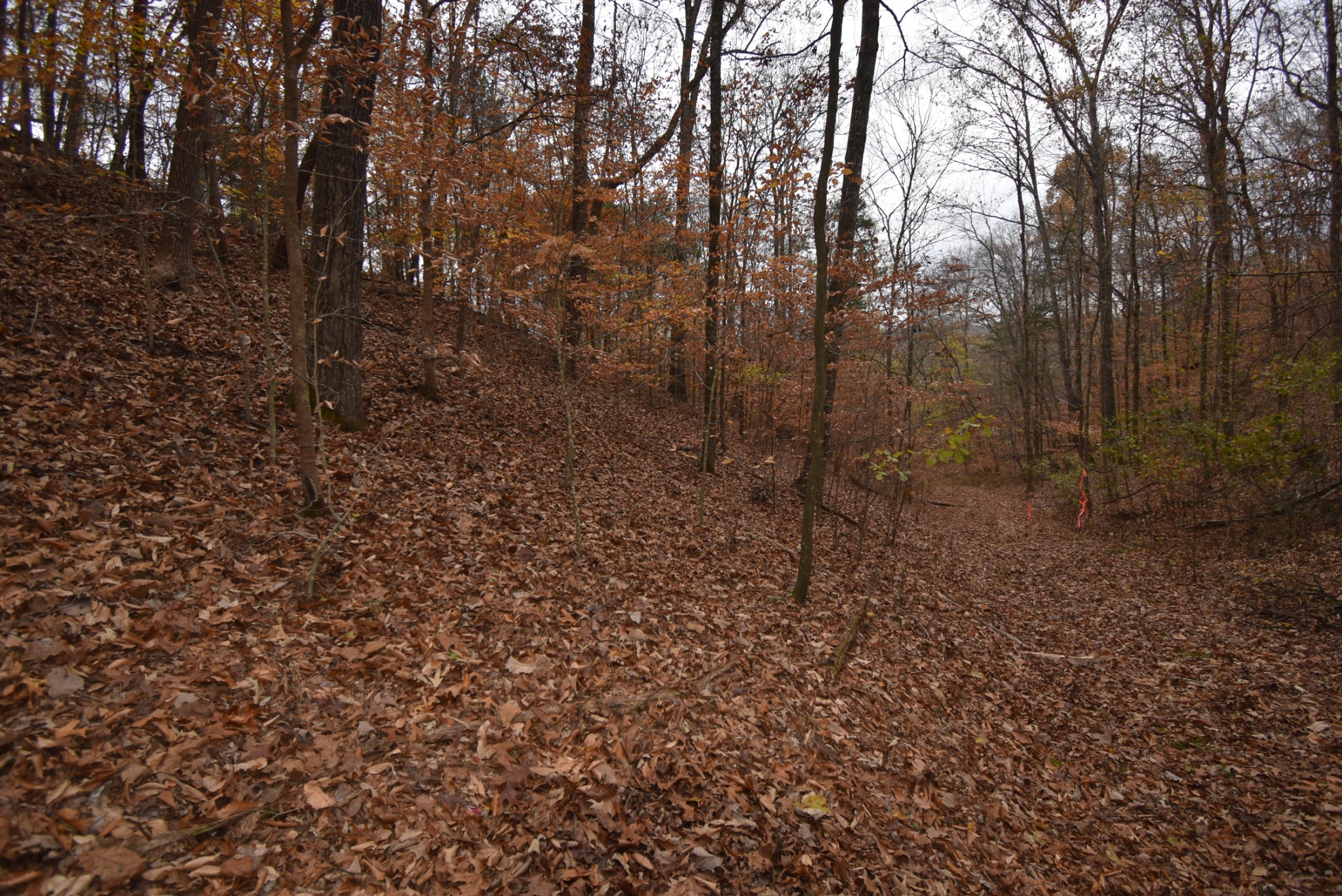 0 Depriest Bend Rd Property Photo 9