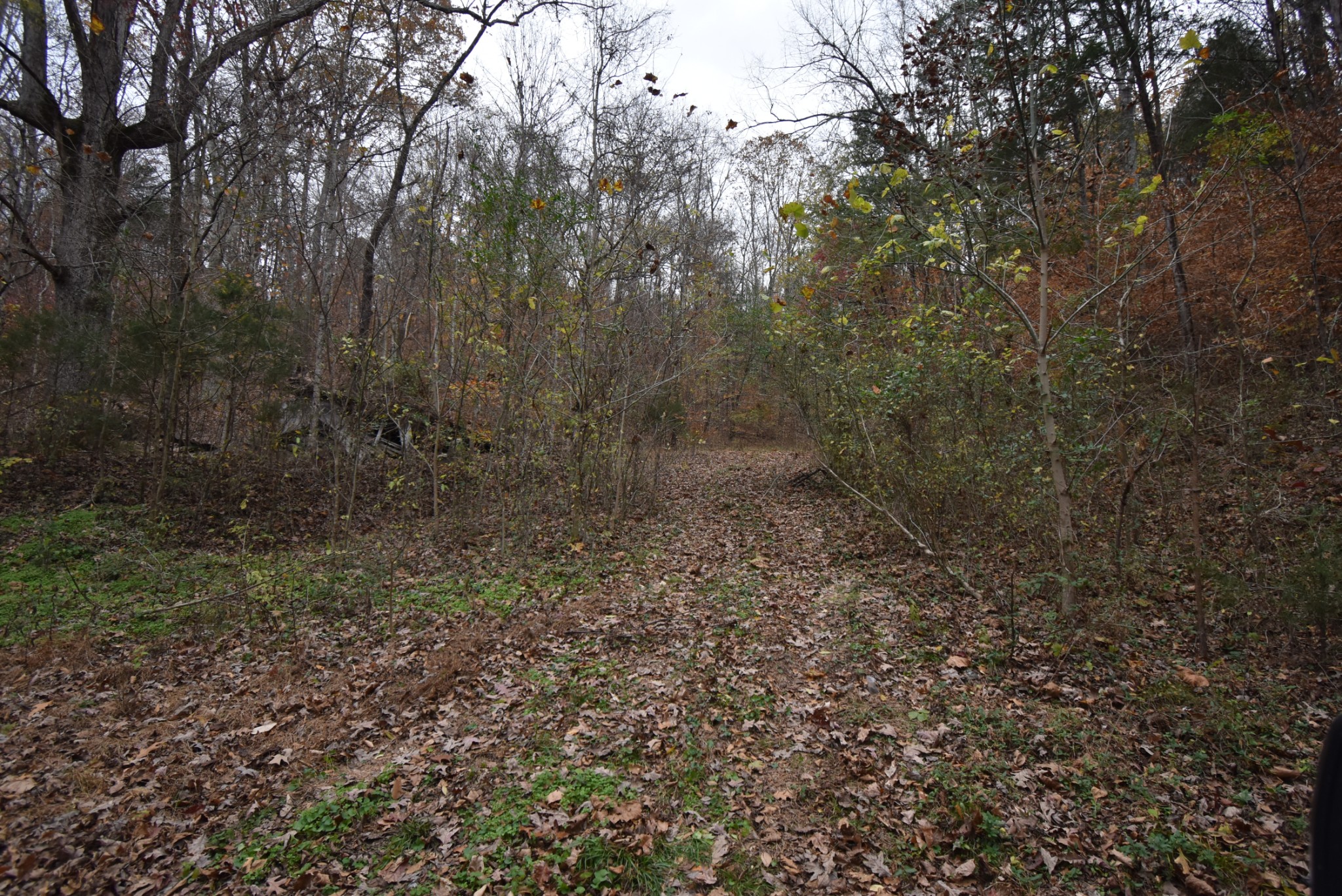 0 Depriest Bend Rd Property Photo 11