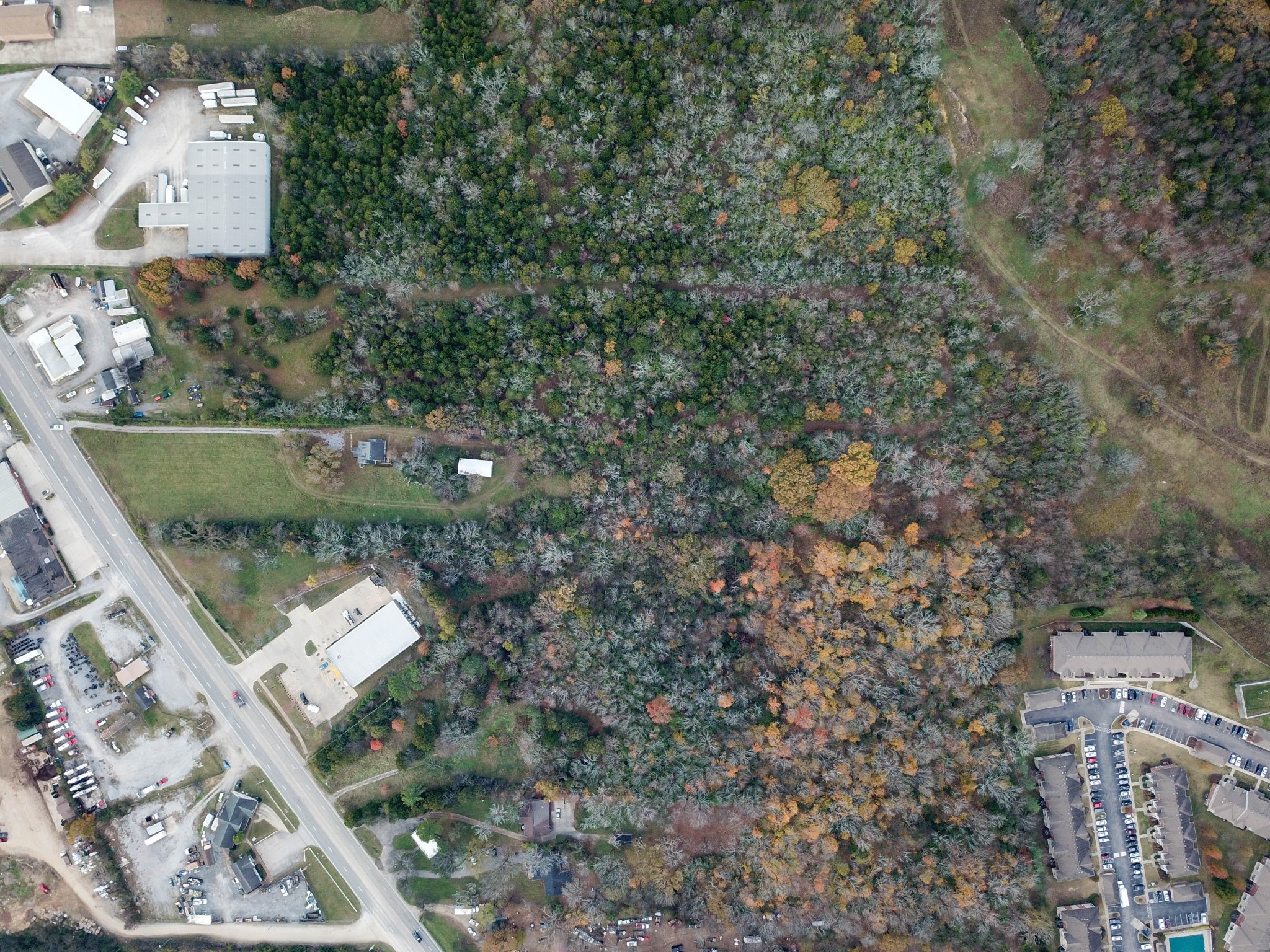 1219 S Dickerson Rd Property Photo 4