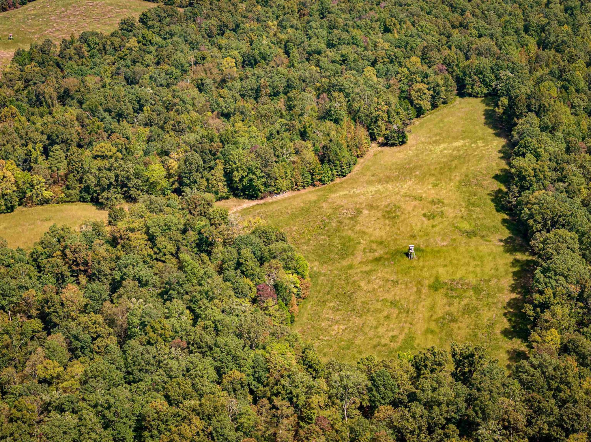 2642 Brodies Landing Rd Property Photo 2