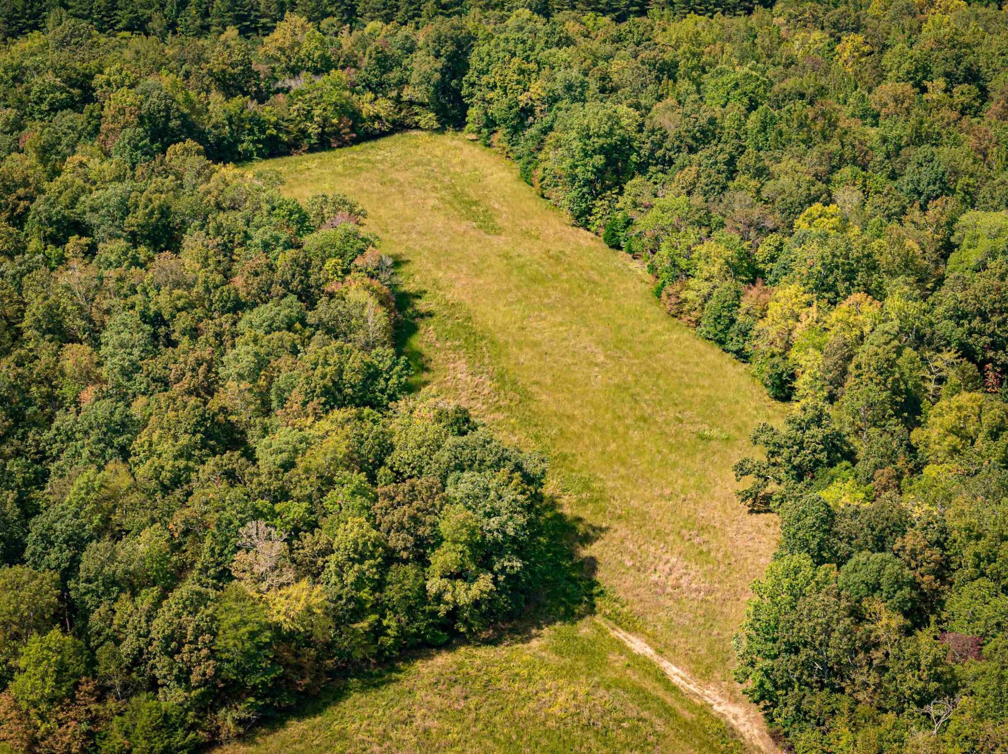 2642 Brodies Landing Rd Property Photo 5