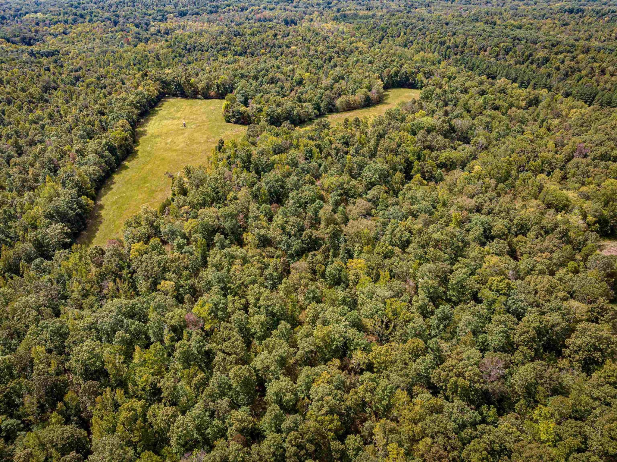 2642 Brodies Landing Rd Property Photo 6