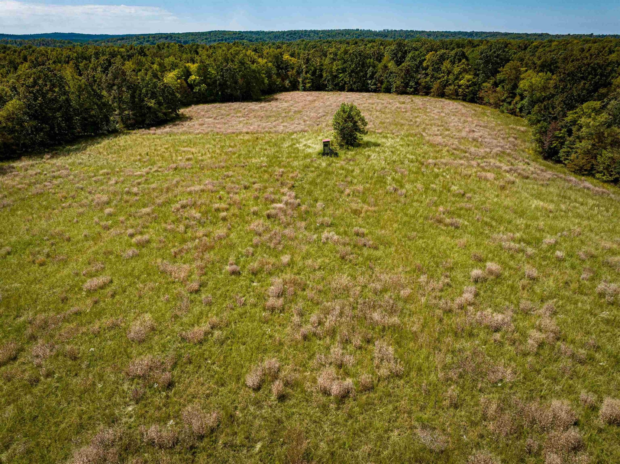 2642 Brodies Landing Rd Property Photo 8