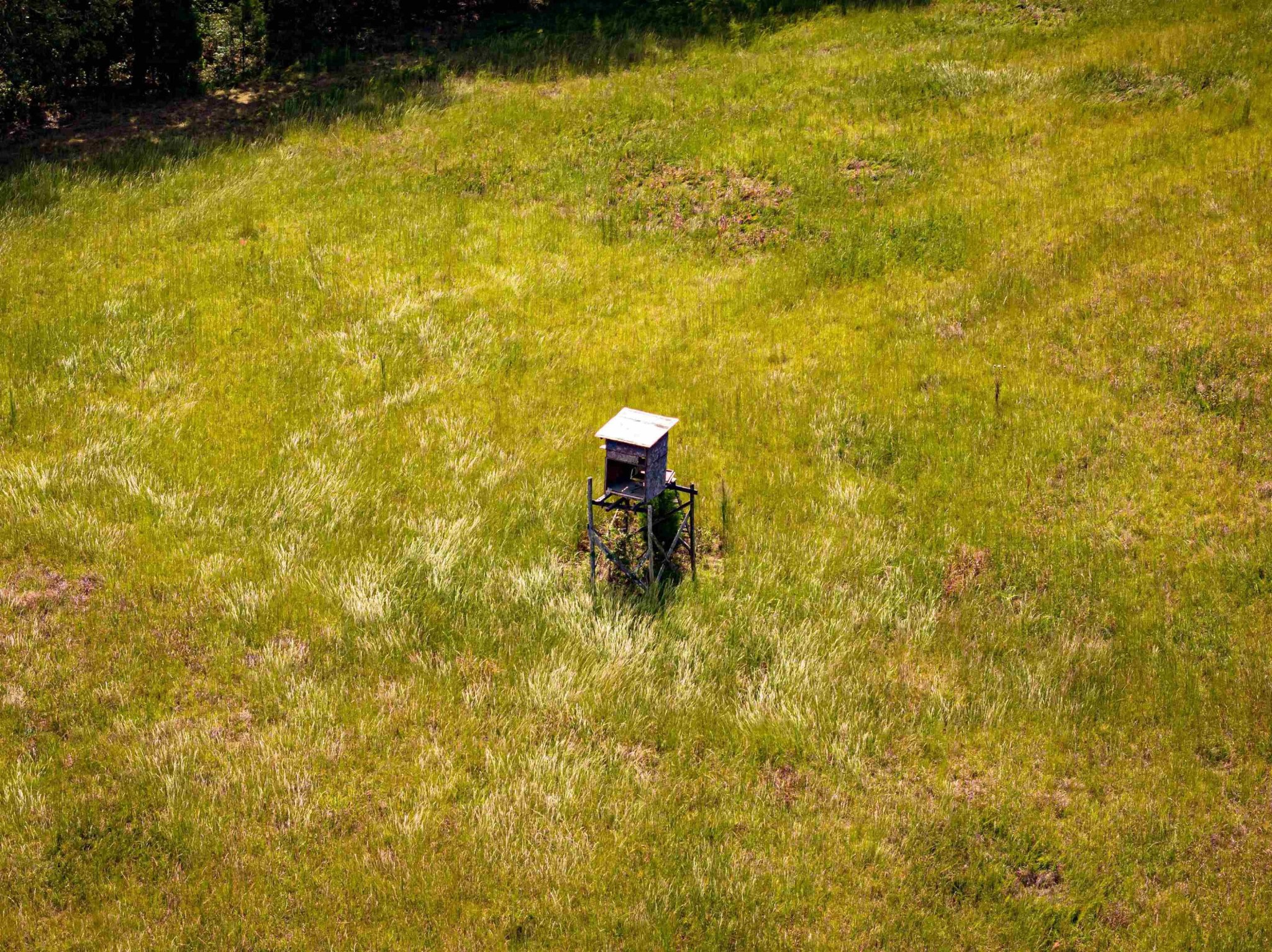 2642 Brodies Landing Rd Property Photo 10