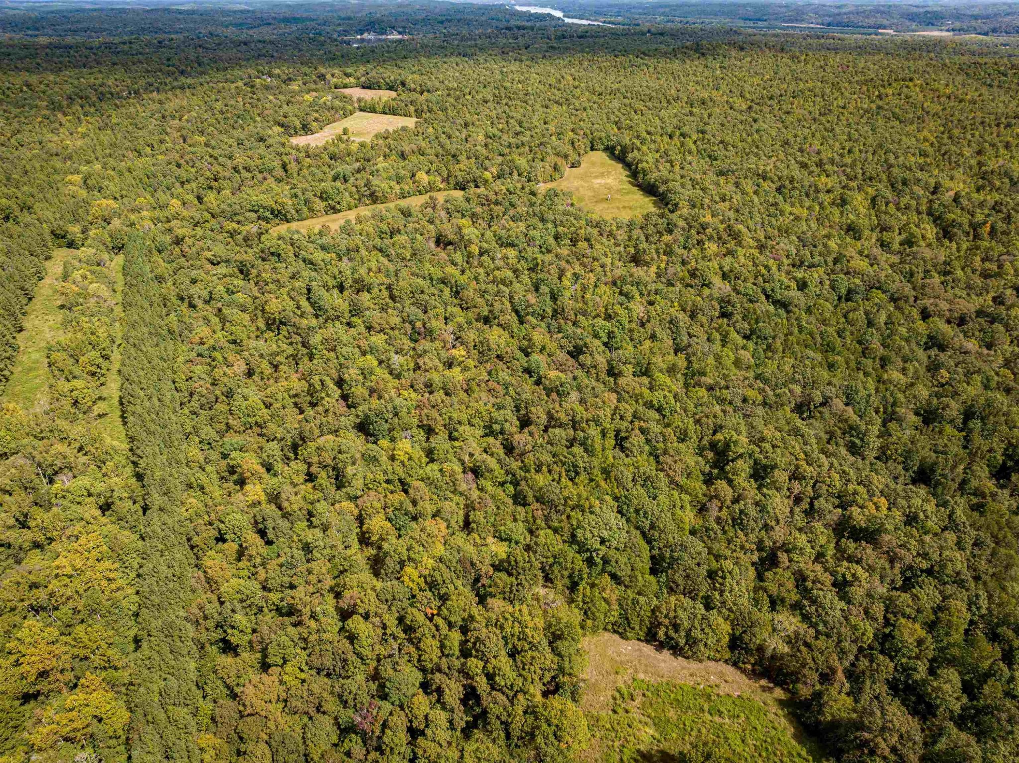 2642 Brodies Landing Rd Property Photo 13