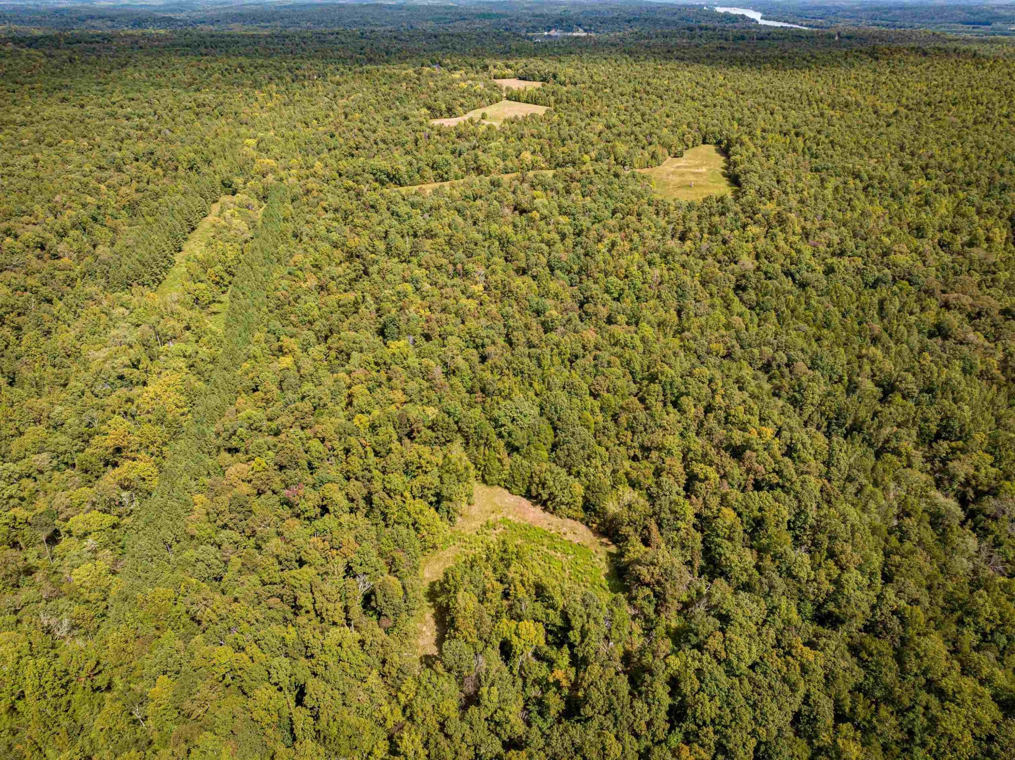 2642 Brodies Landing Rd Property Photo 14