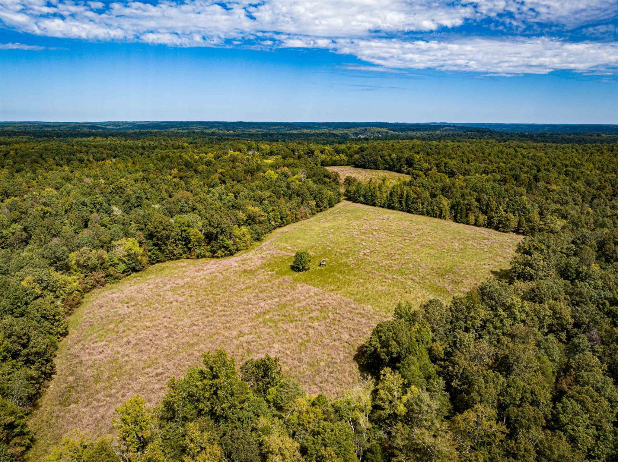 2642 Brodies Landing Rd Property Photo 16