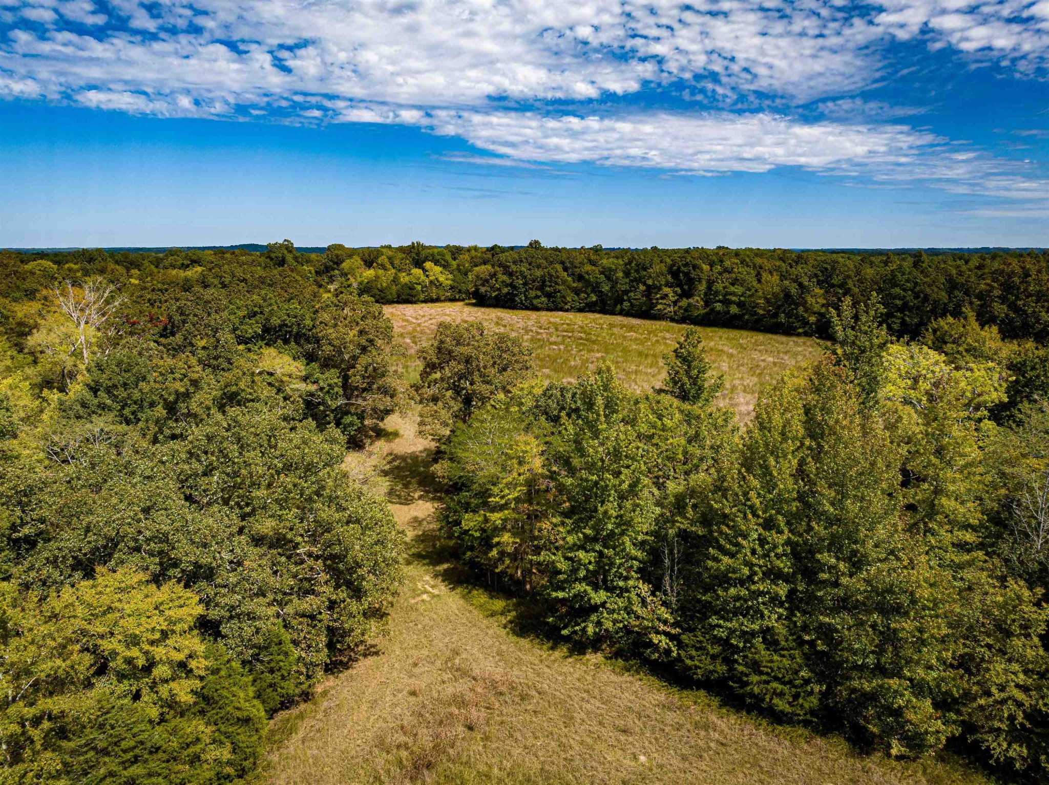 2642 Brodies Landing Rd Property Photo 17