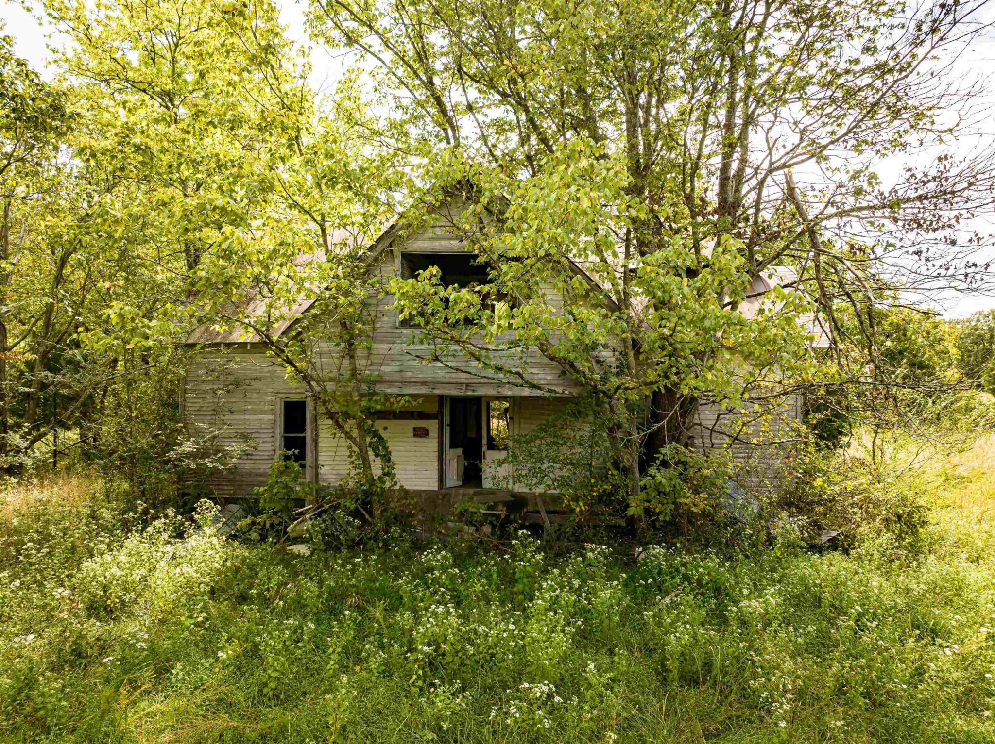 2642 Brodies Landing Rd Property Photo 26
