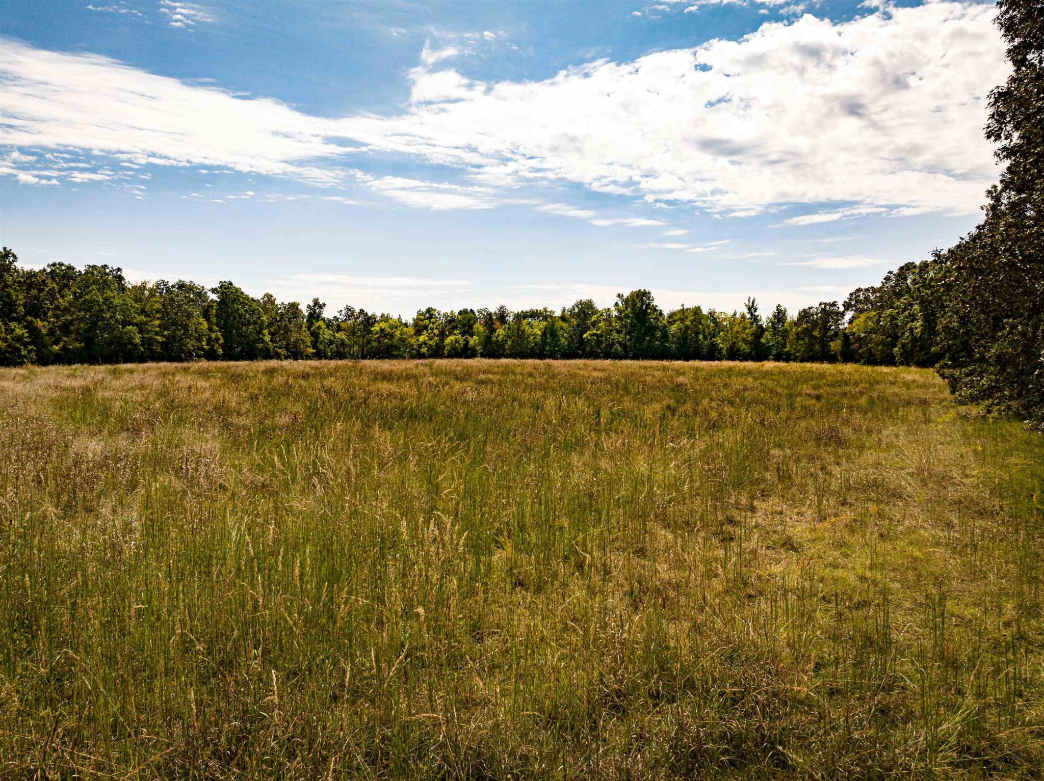 2642 Brodies Landing Rd Property Photo 30