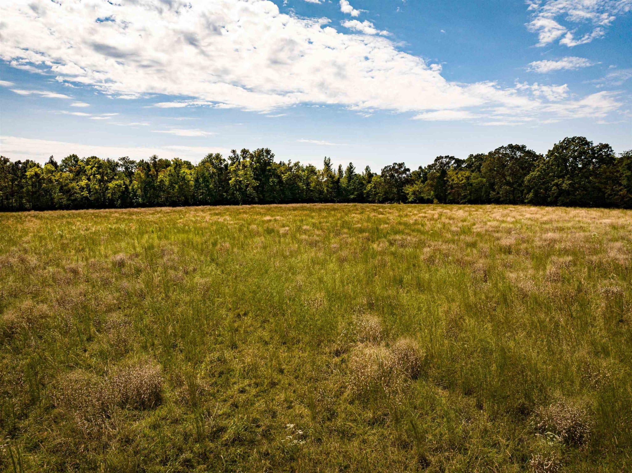 2642 Brodies Landing Rd Property Photo 31