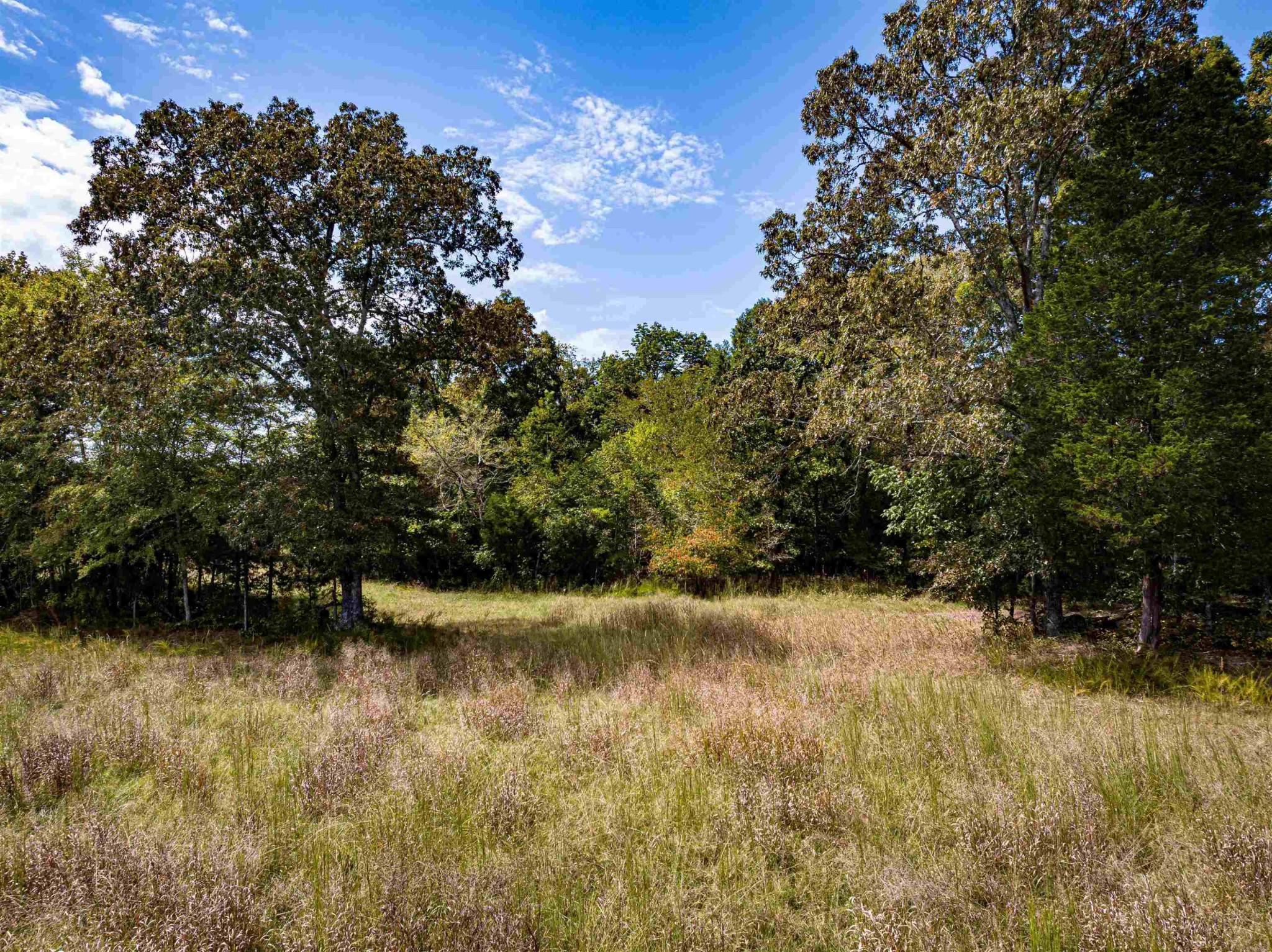 2642 Brodies Landing Rd Property Photo 33