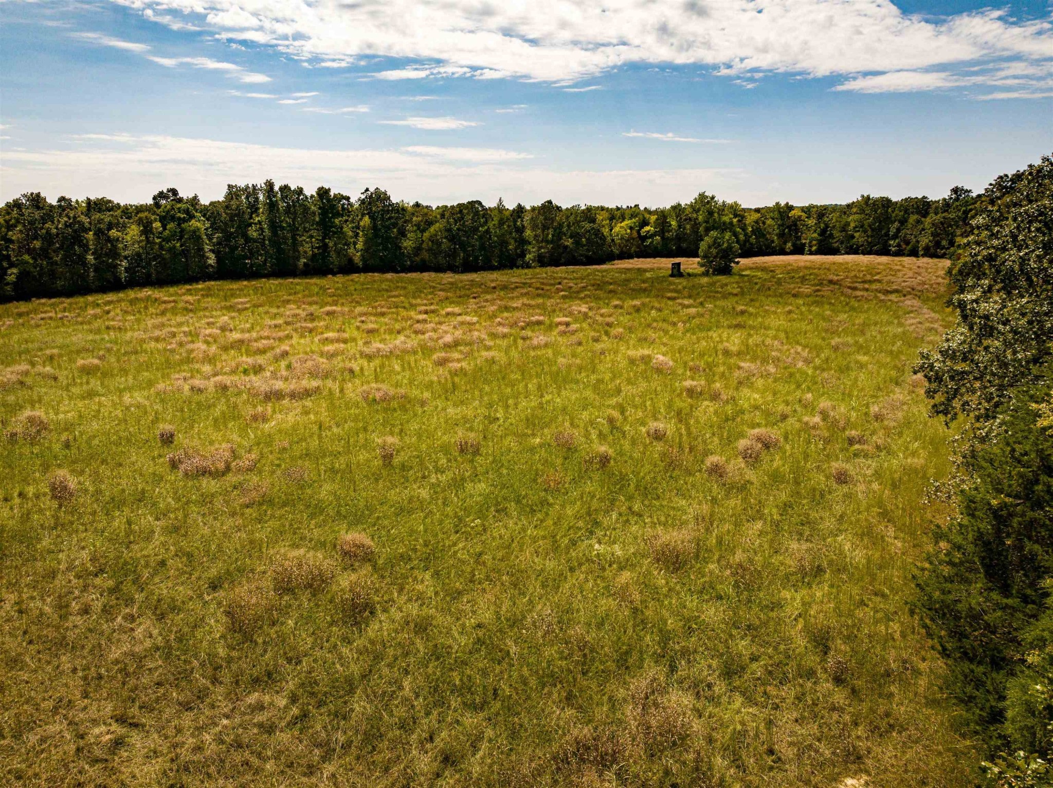 2642 Brodies Landing Rd Property Photo 35