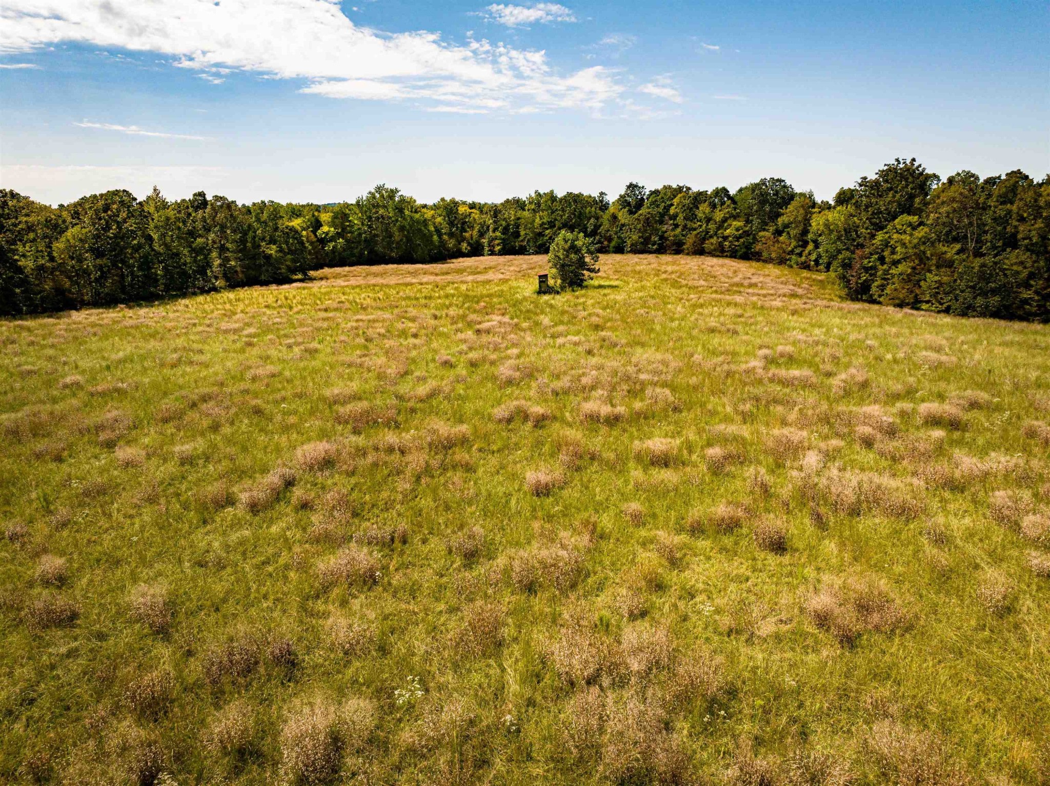 2642 Brodies Landing Rd Property Photo 38