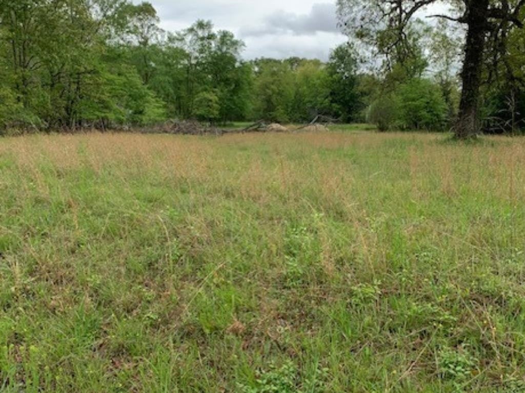 2642 Brodies Landing Rd Property Photo 42