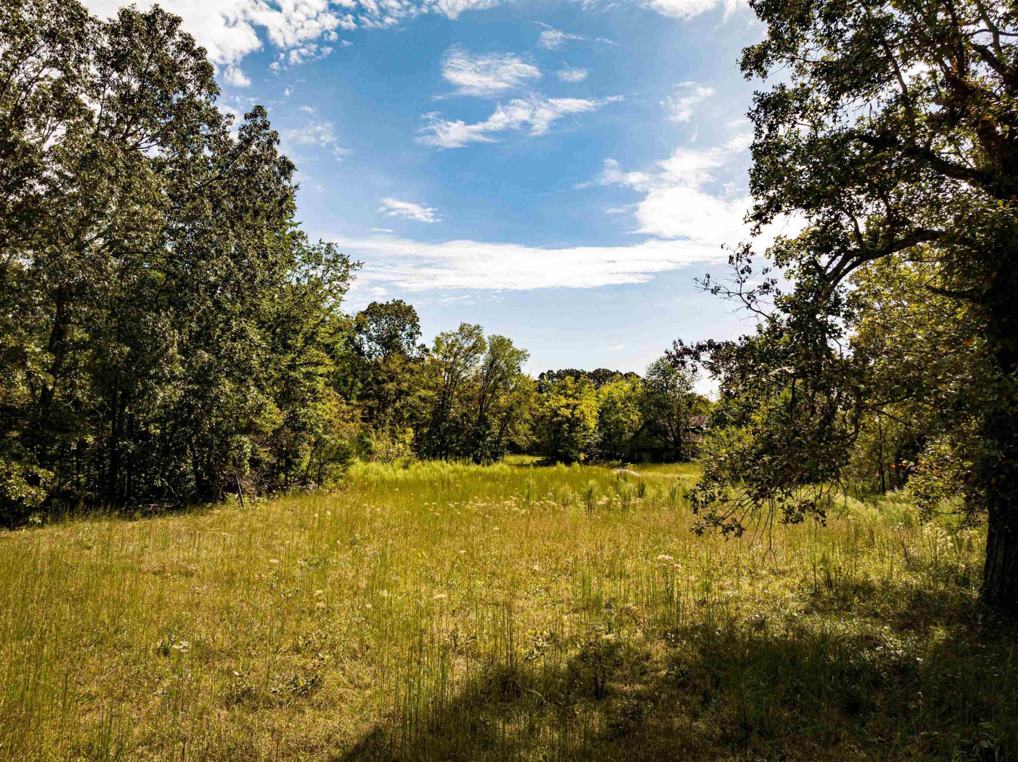 2642 Brodies Landing Rd Property Photo 43