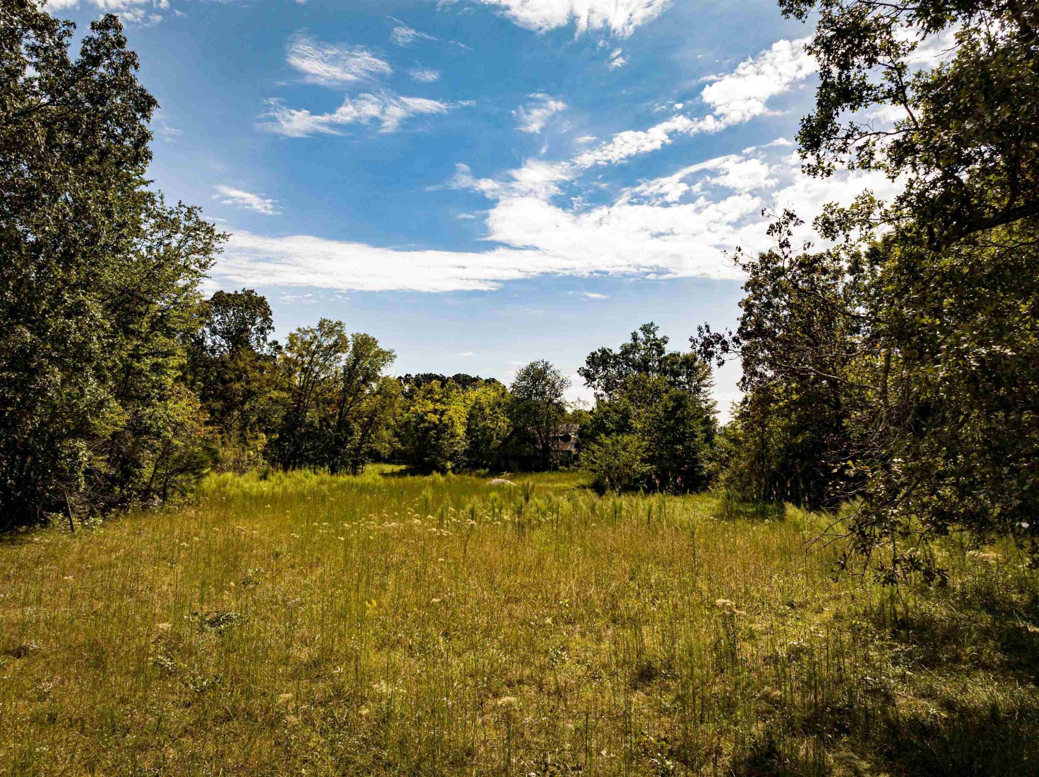 2642 Brodies Landing Rd Property Photo 44