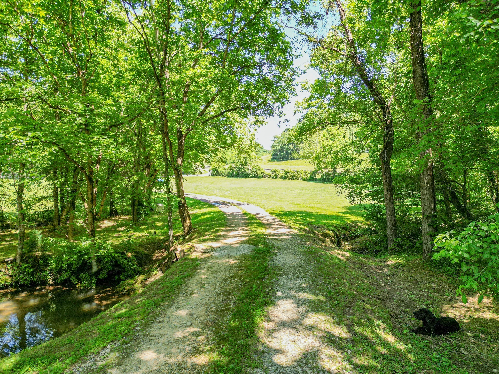 804 Ball Hollow Branch Rd Property Photo 1