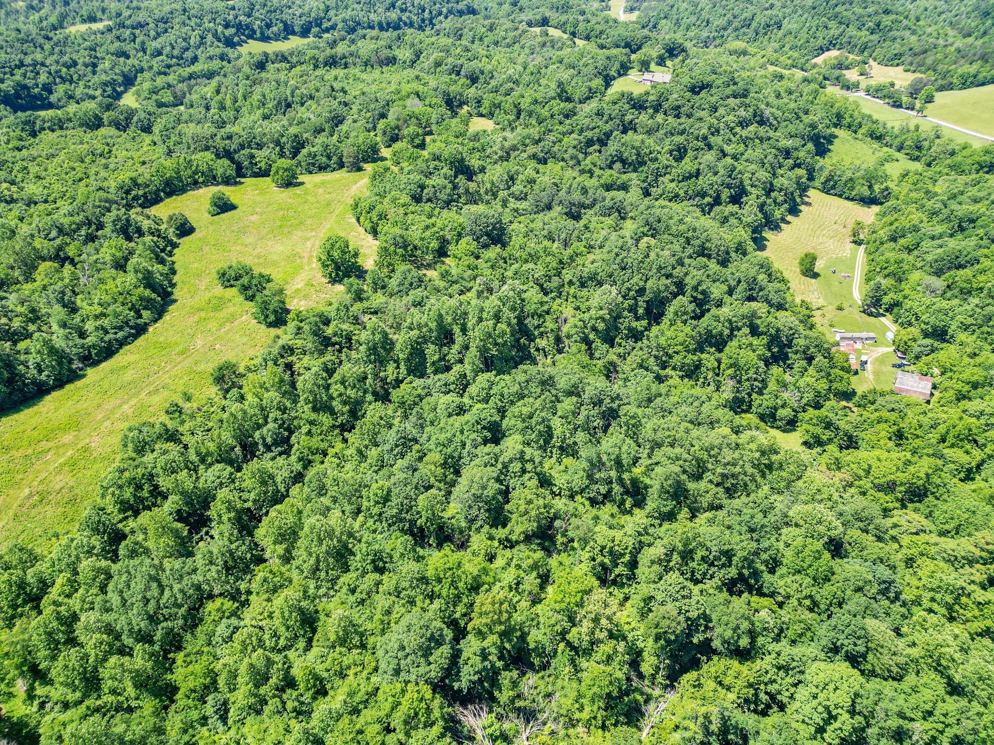804 Ball Hollow Branch Rd Property Photo 12