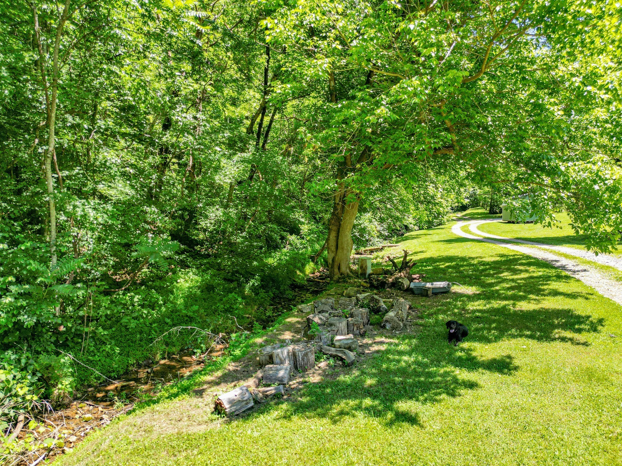 804 Ball Hollow Branch Rd Property Photo 18