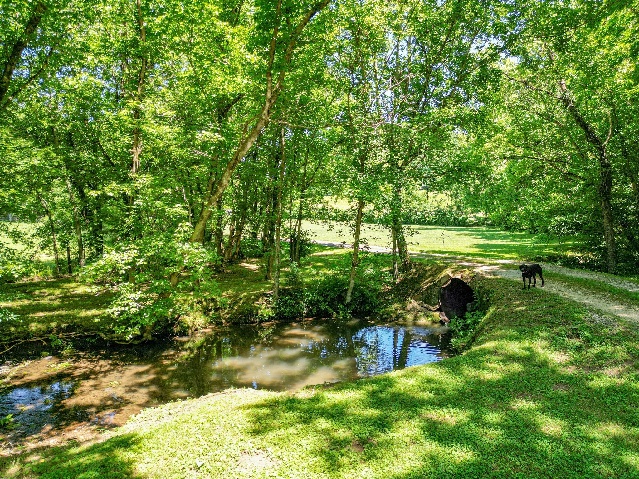804 Ball Hollow Branch Rd Property Photo 34