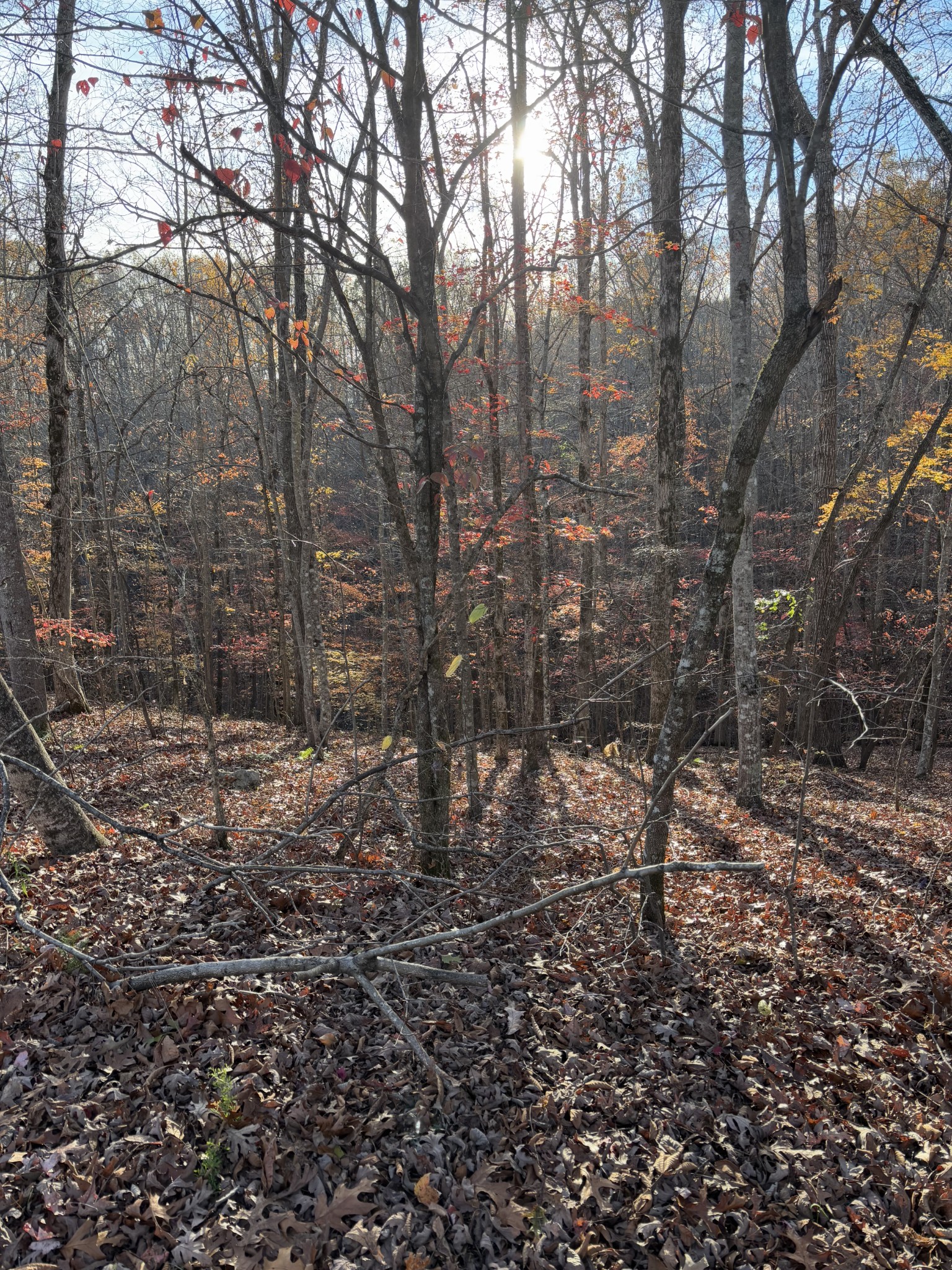 0 Mountain Harbor Trace Property Photo 3
