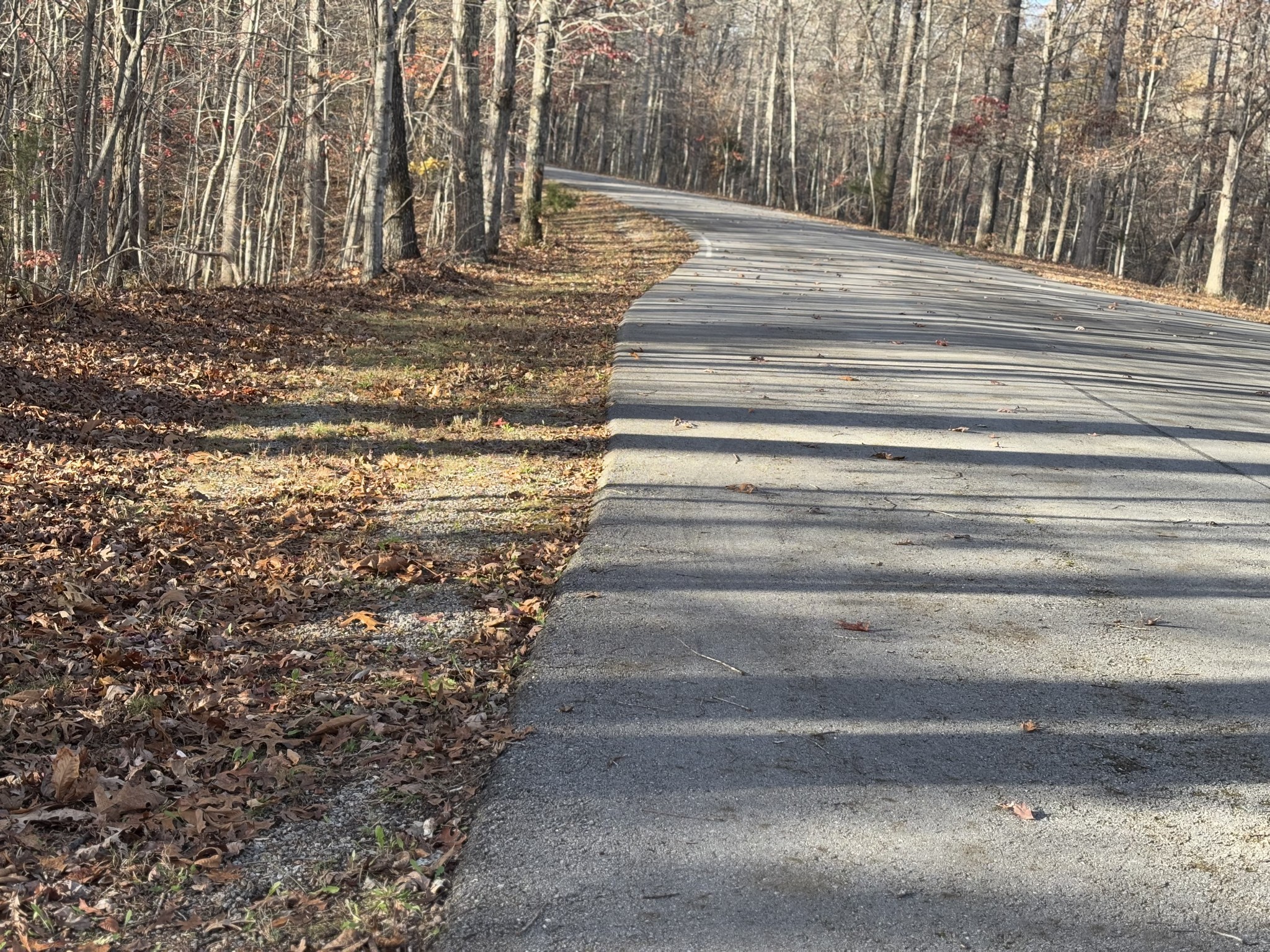 0 Mountain Harbor Trace Property Photo 4