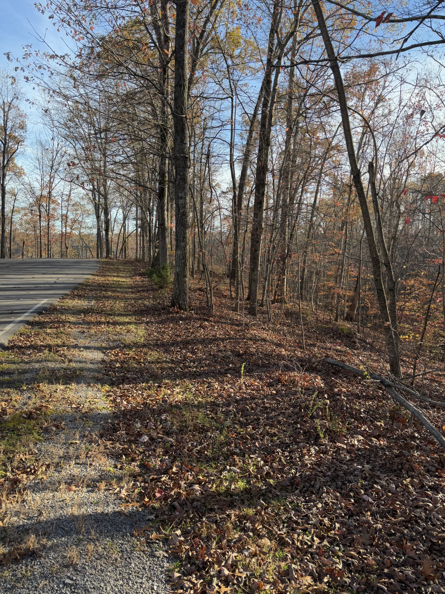 0 Mountain Harbor Trace Property Photo 5