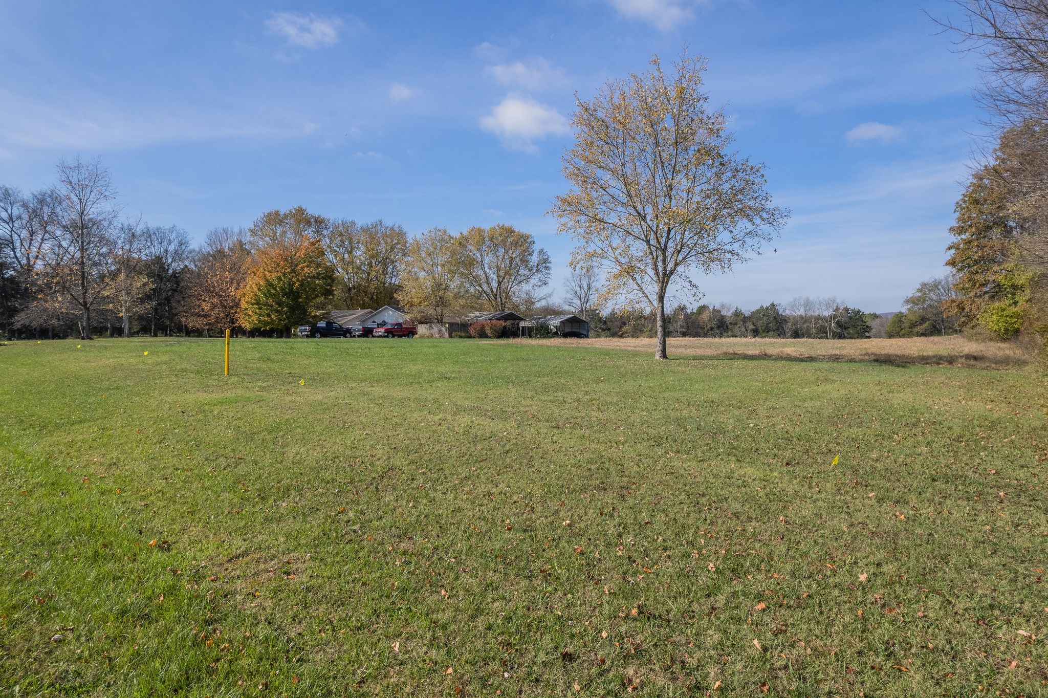5876 New Salem Hwy Property Photo 8