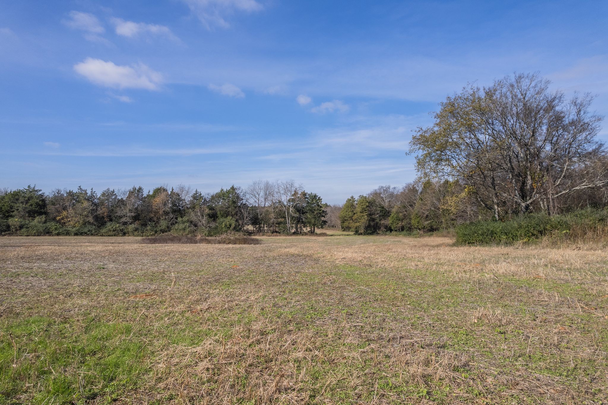 5876 New Salem Hwy Property Photo 9