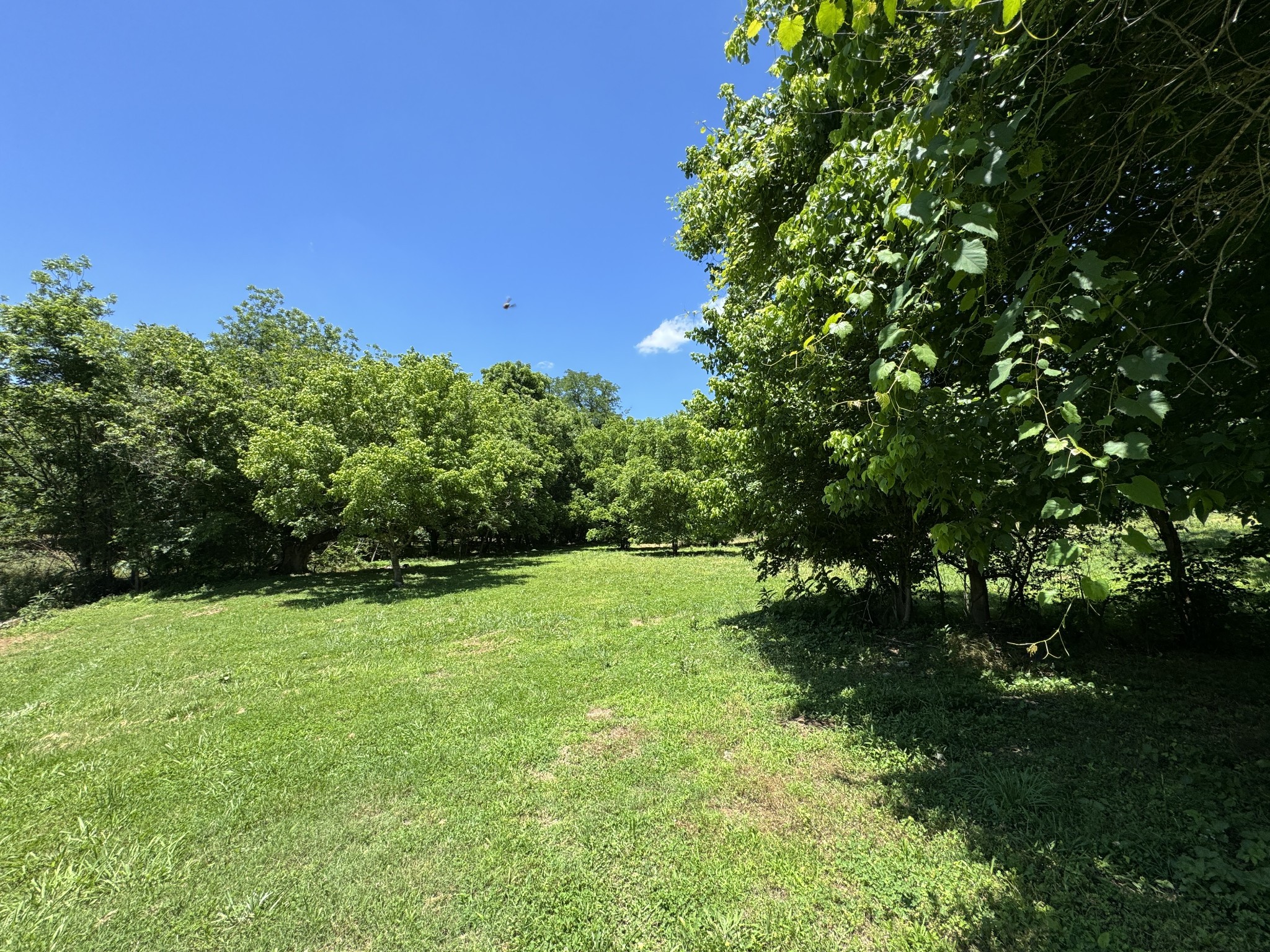 2342 Valley Creek Rd Property Photo 1