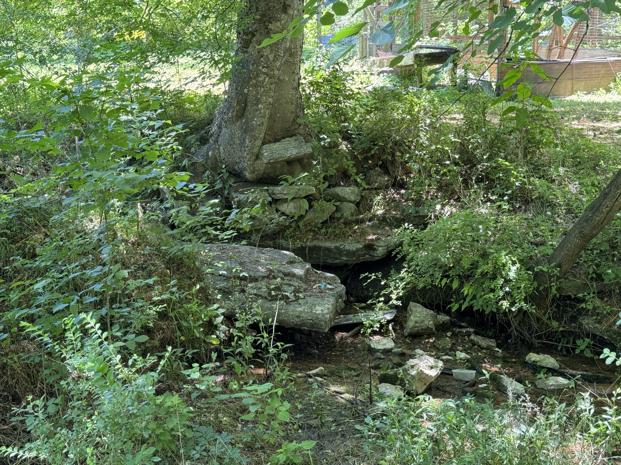 2342 Valley Creek Rd Property Photo 7