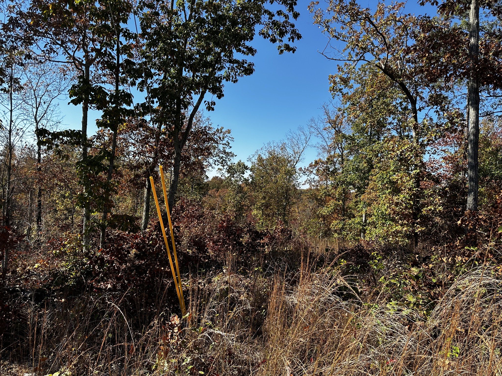 49 Ridge Top Road Property Photo 2