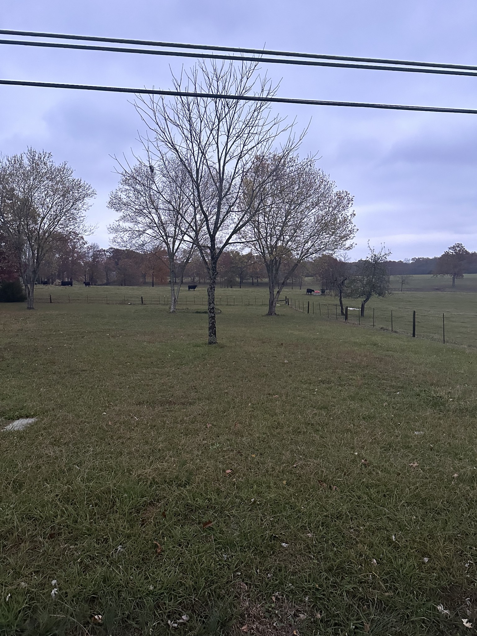 3080 Huntsville Hwy Property Photo 3