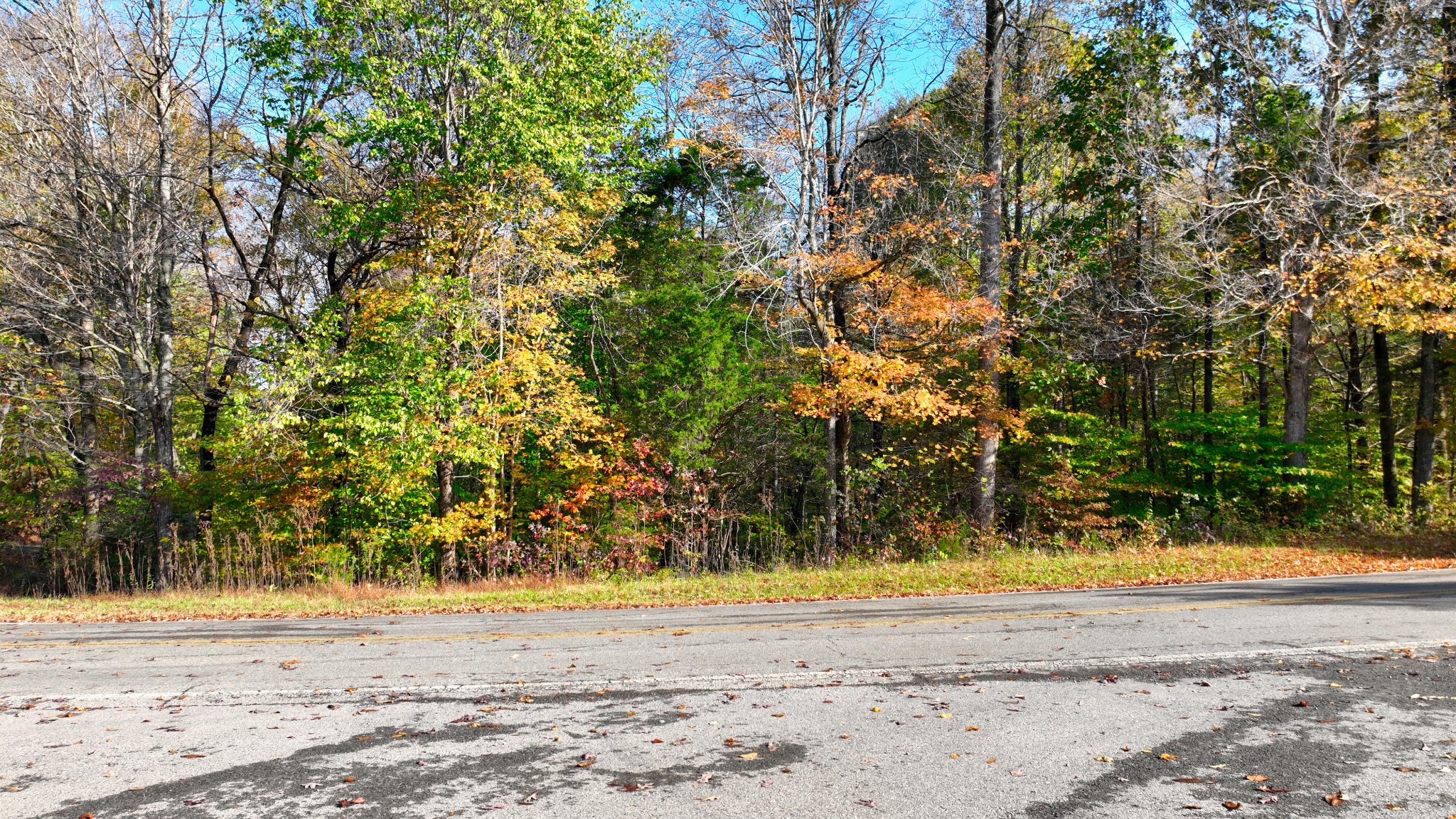 0 Shiloh Canaan Rd Property Photo 10