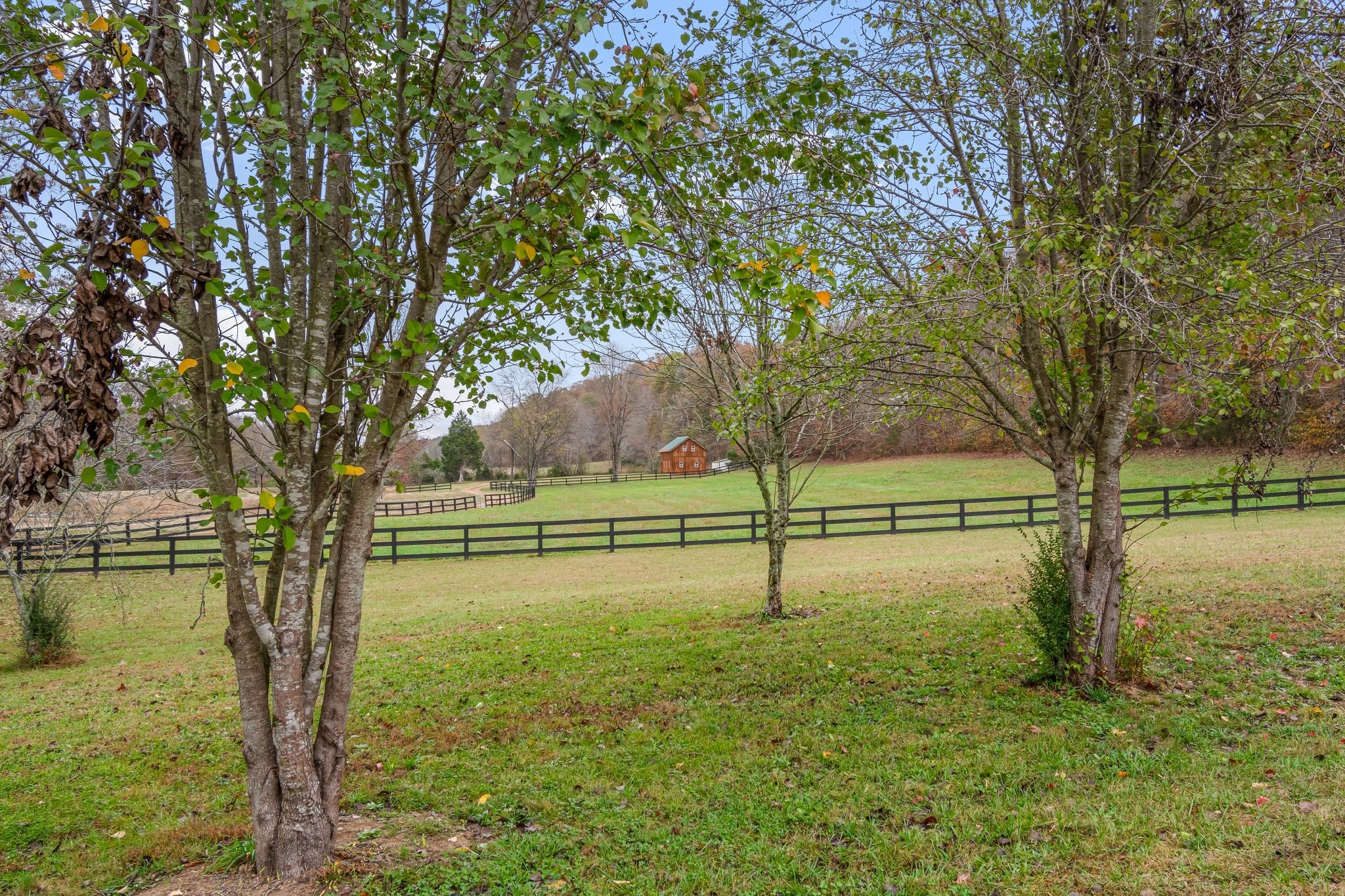 0 Wades Branch Rd Property Photo 12