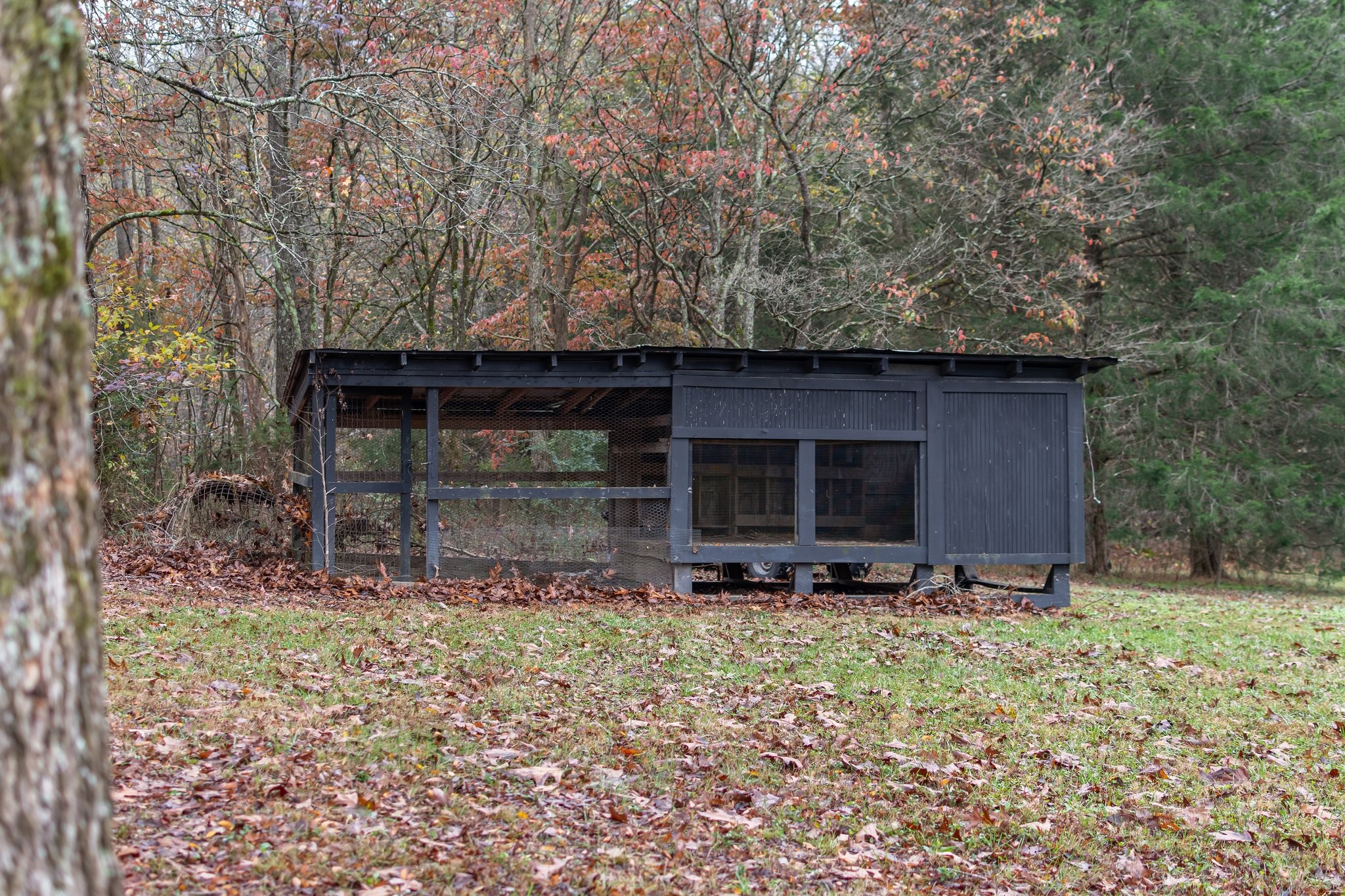 1055 Wades Branch Rd Property Photo 60