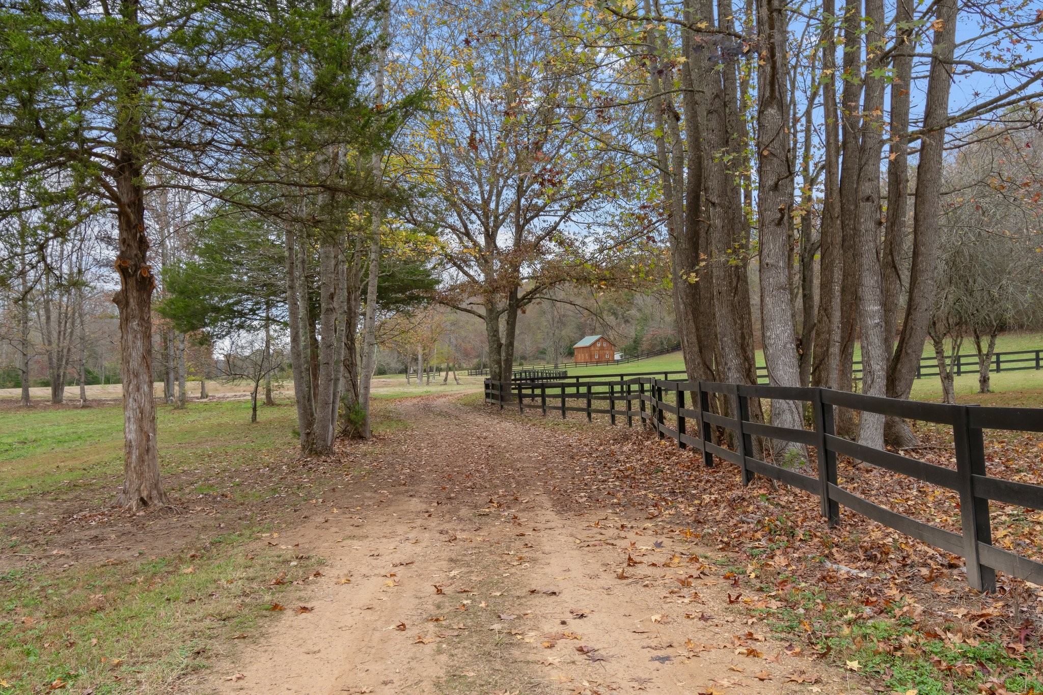 1055 Wades Branch Rd Property Photo 65