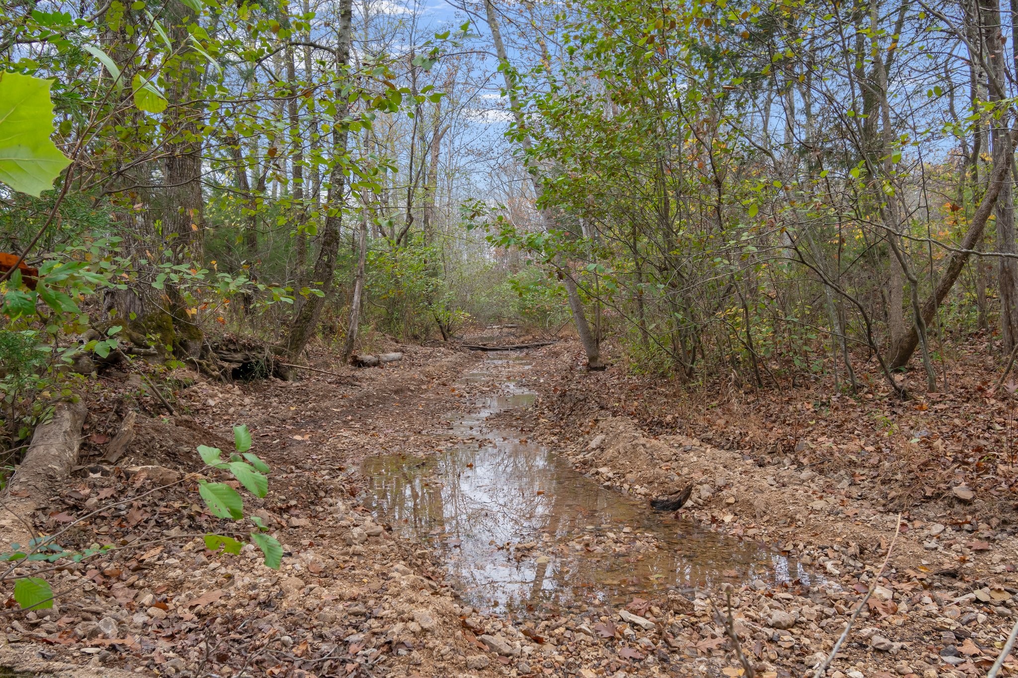 1055 Wades Branch Rd Property Photo 67