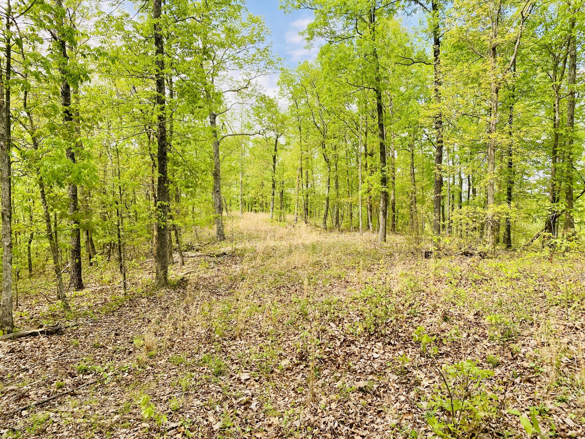 47 Ridge Top Road Property Photo 1