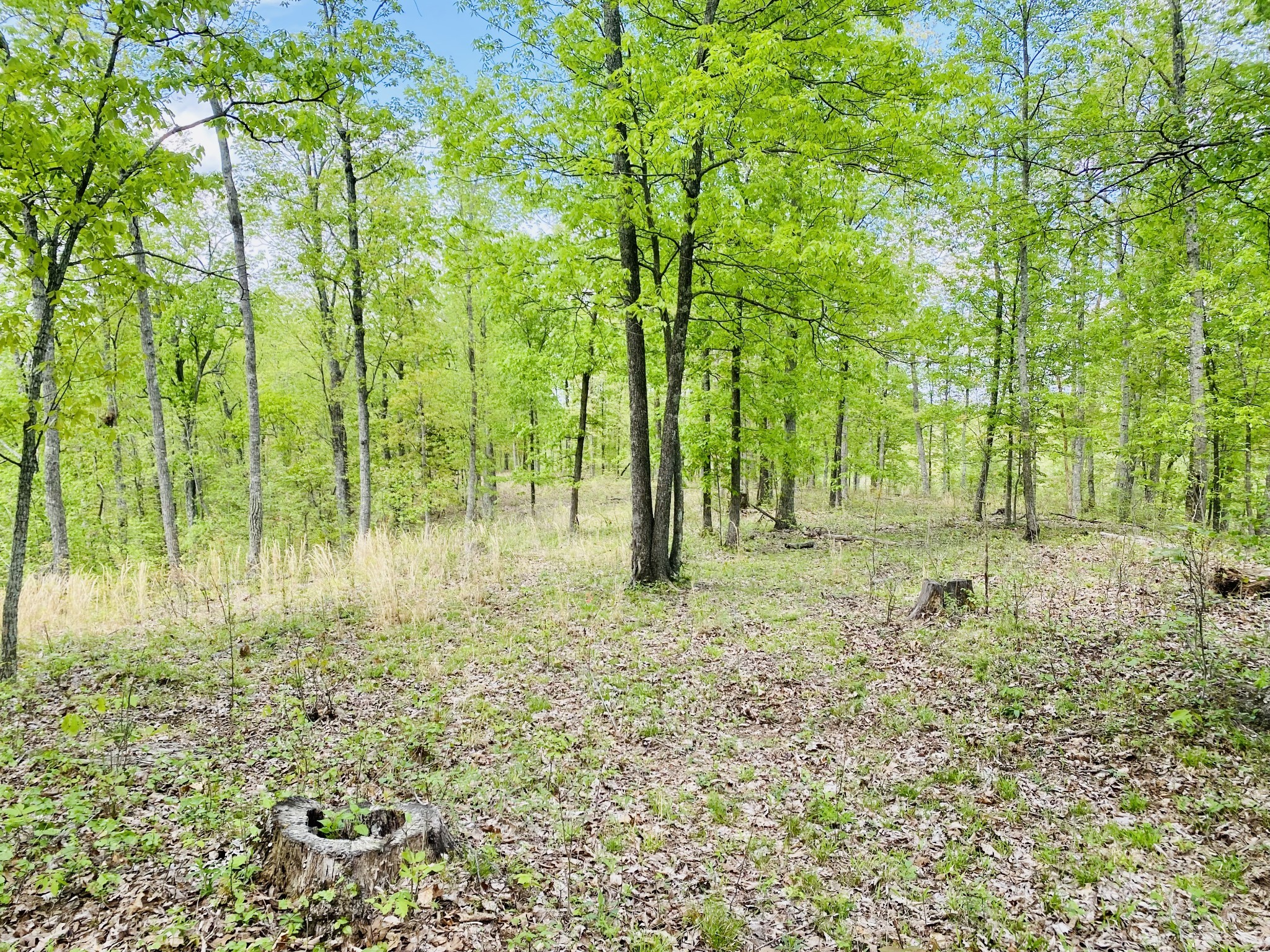 47 Ridge Top Road Property Photo 3