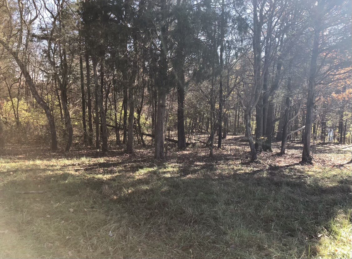 689 Wallace Rd Property Photo 7