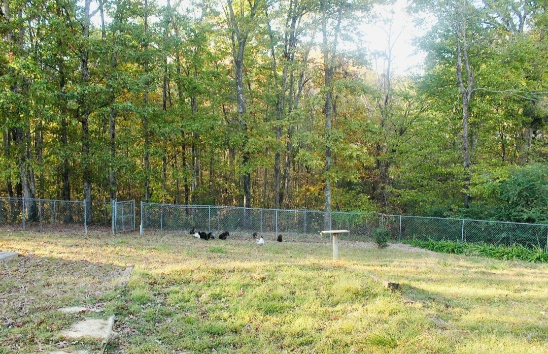 55 Clover Ln Property Photo 38