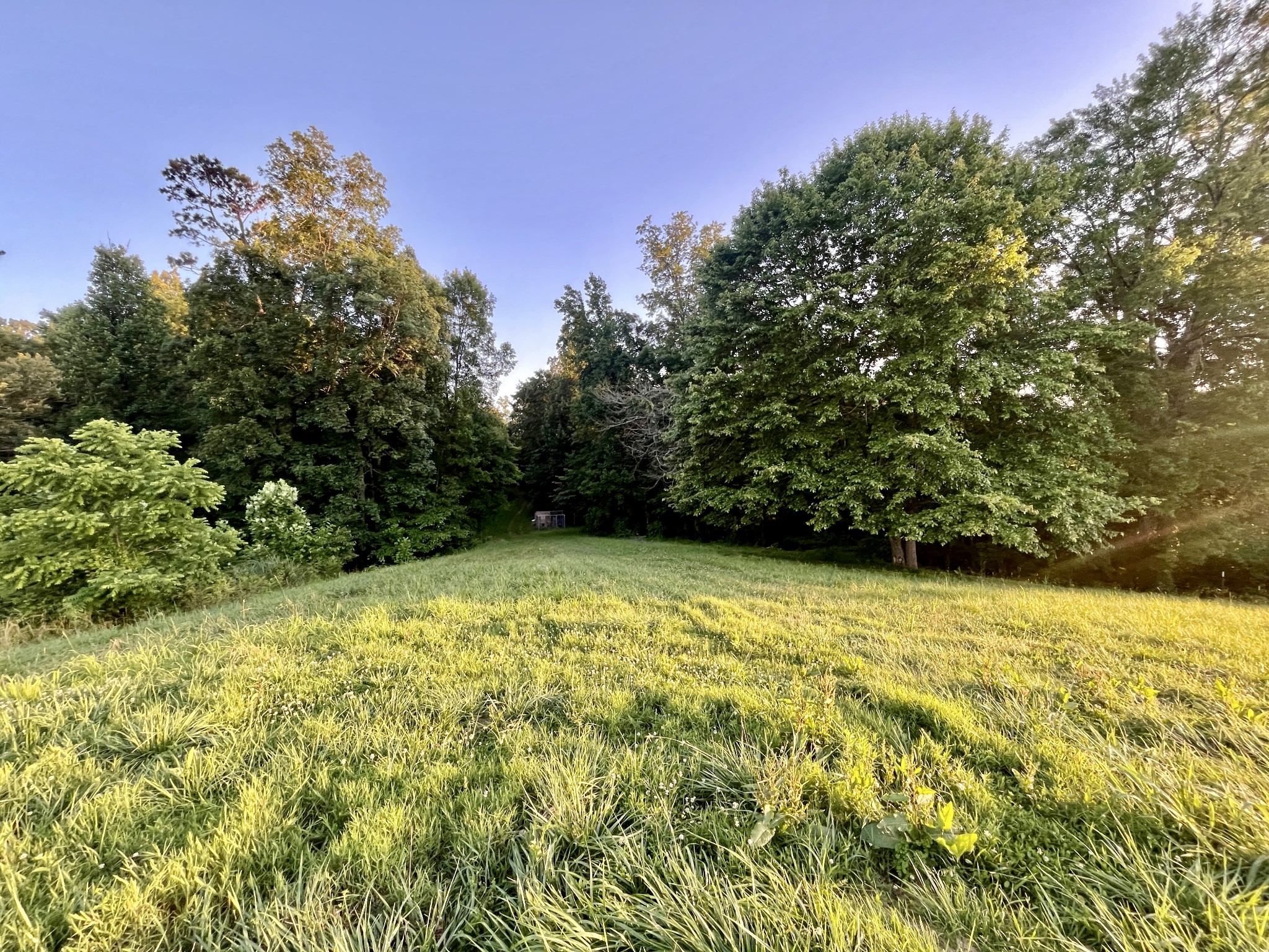 2083 Bundren Mountain Rd Property Photo 4