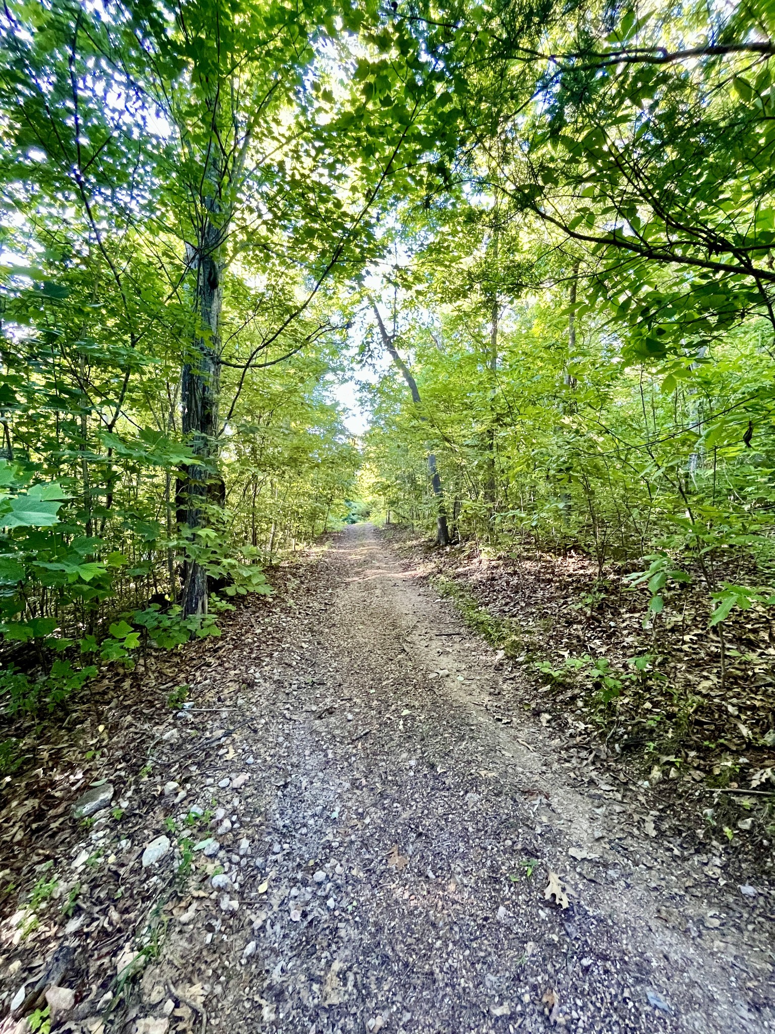 2083 Bundren Mountain Rd Property Photo 10