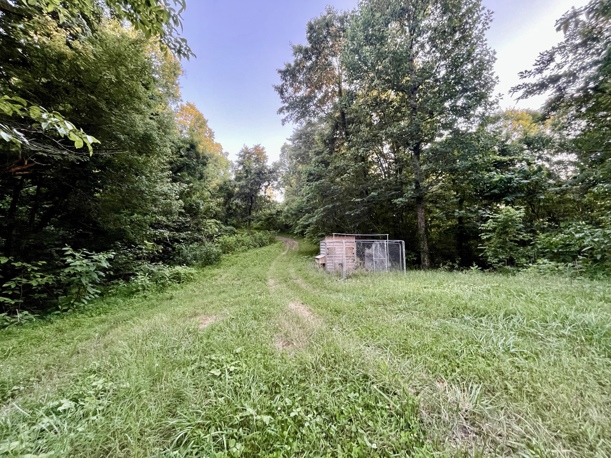 2083 Bundren Mountain Rd Property Photo 20